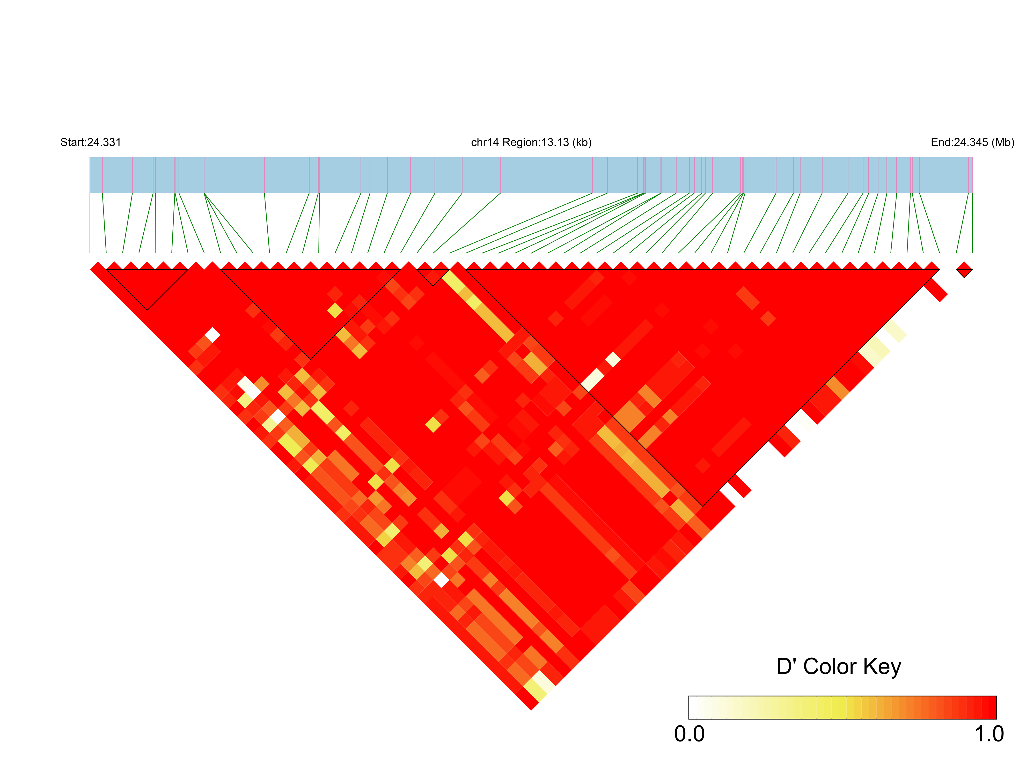 LD