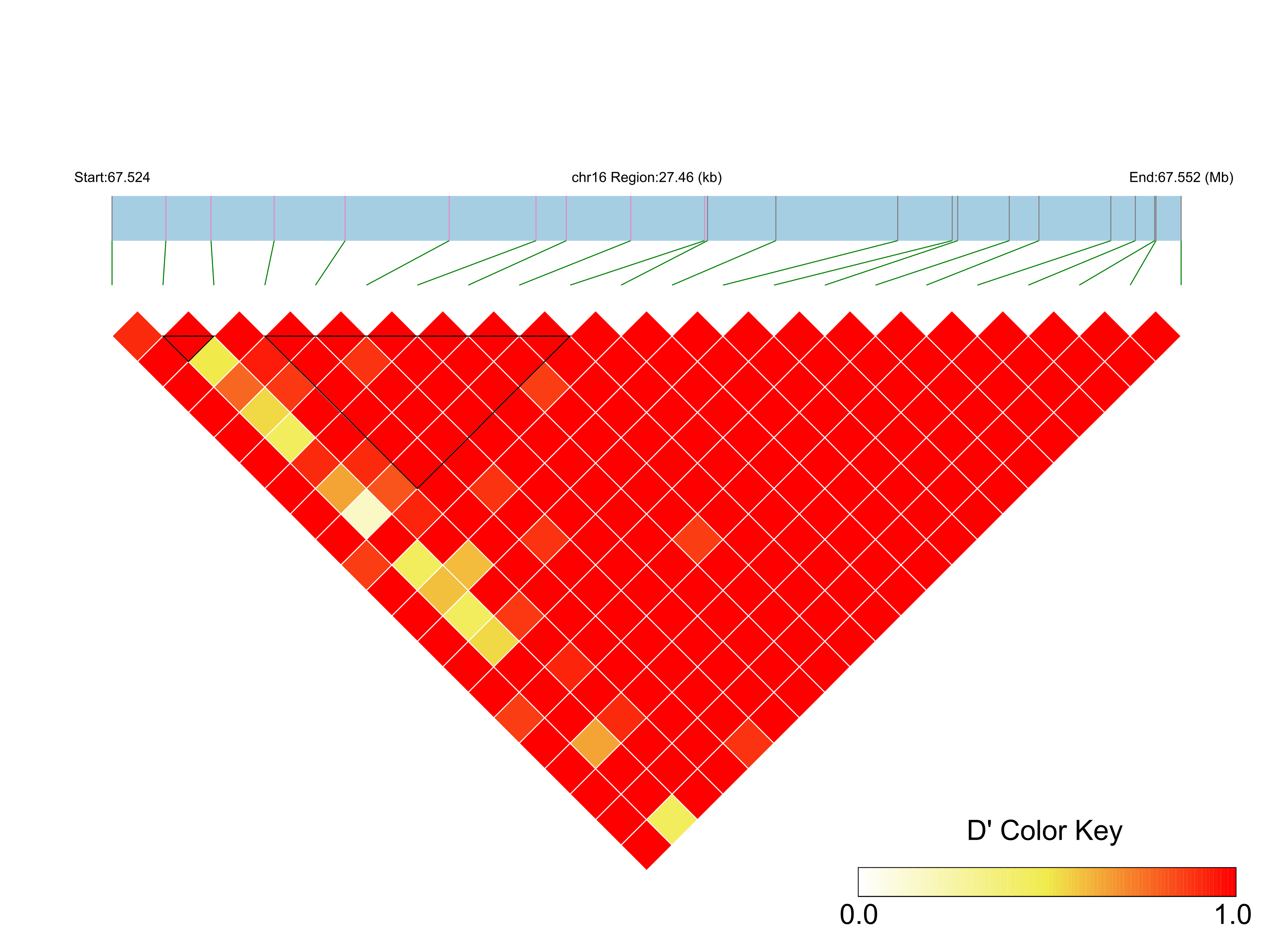 LD