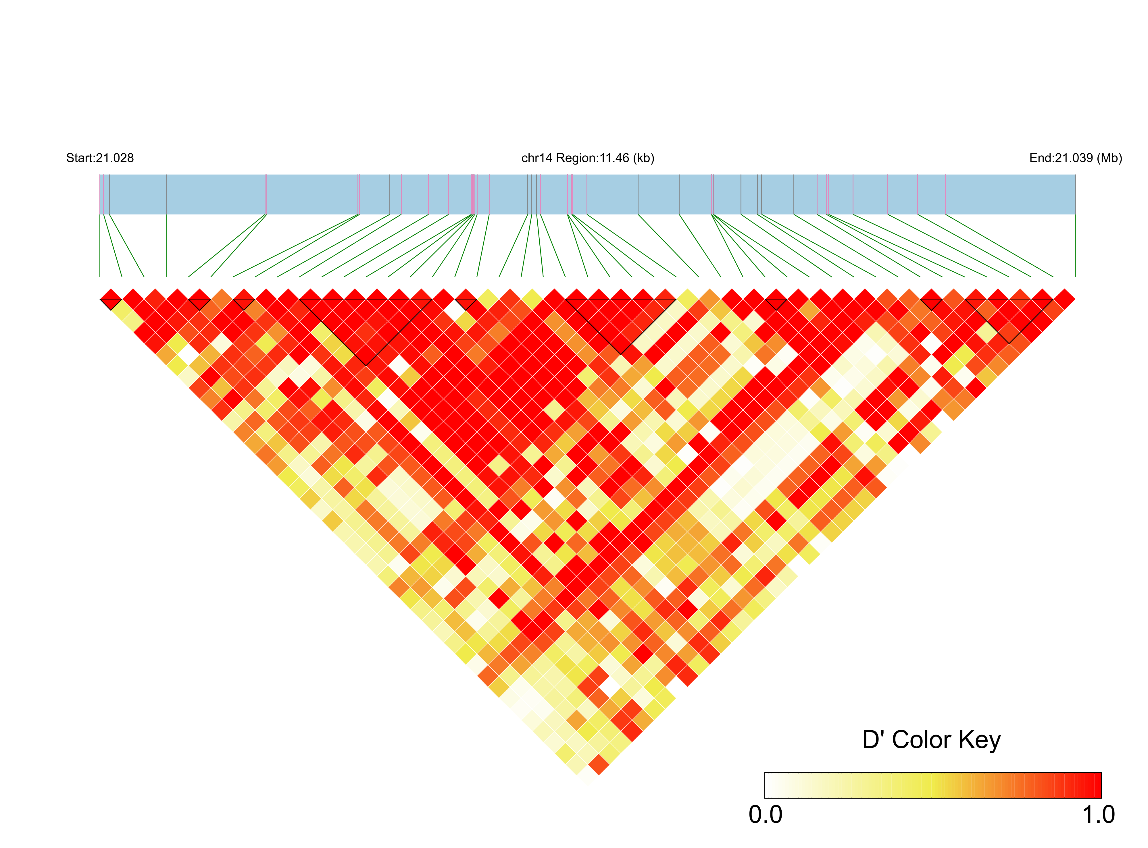 LD