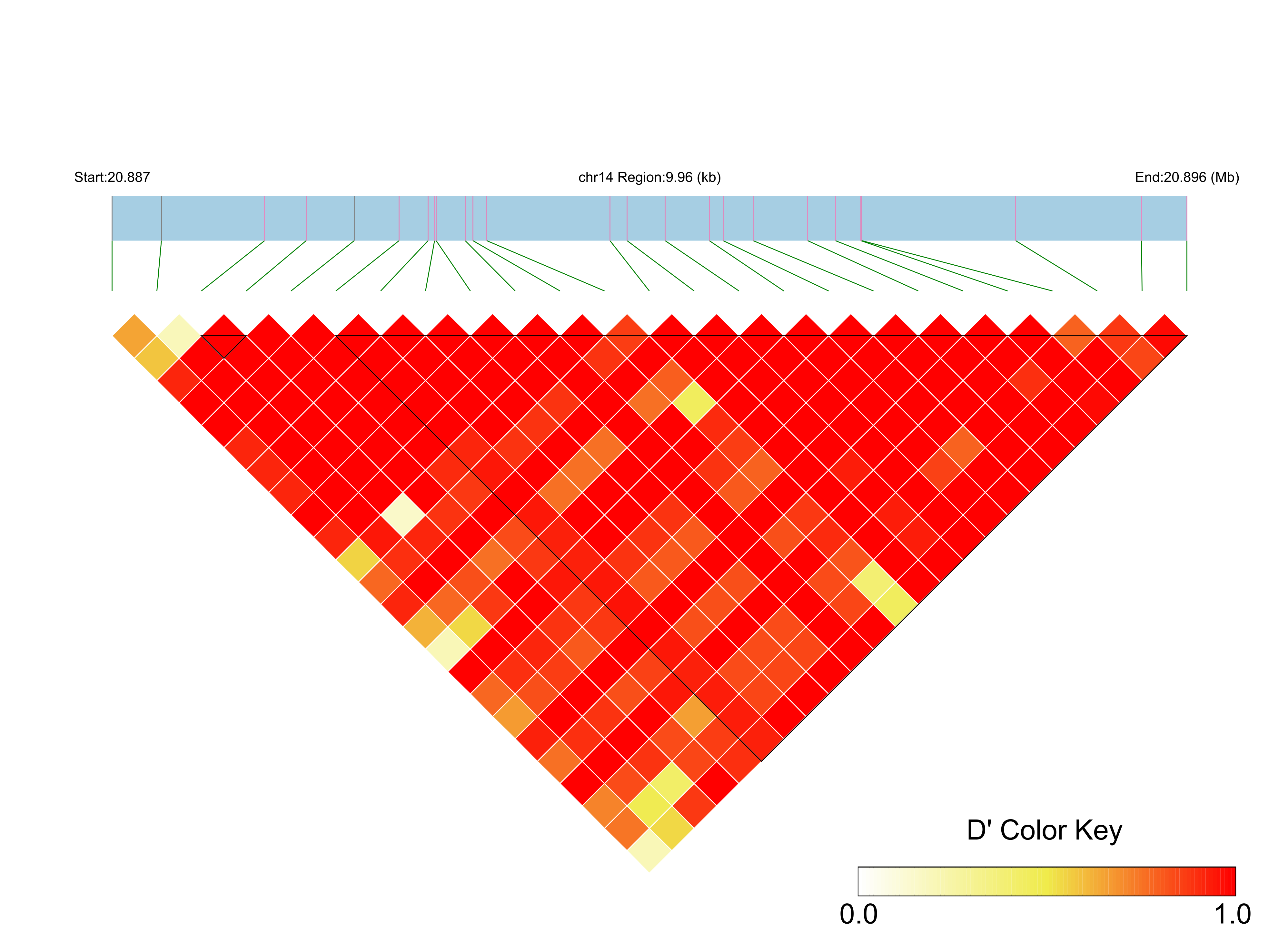 LD