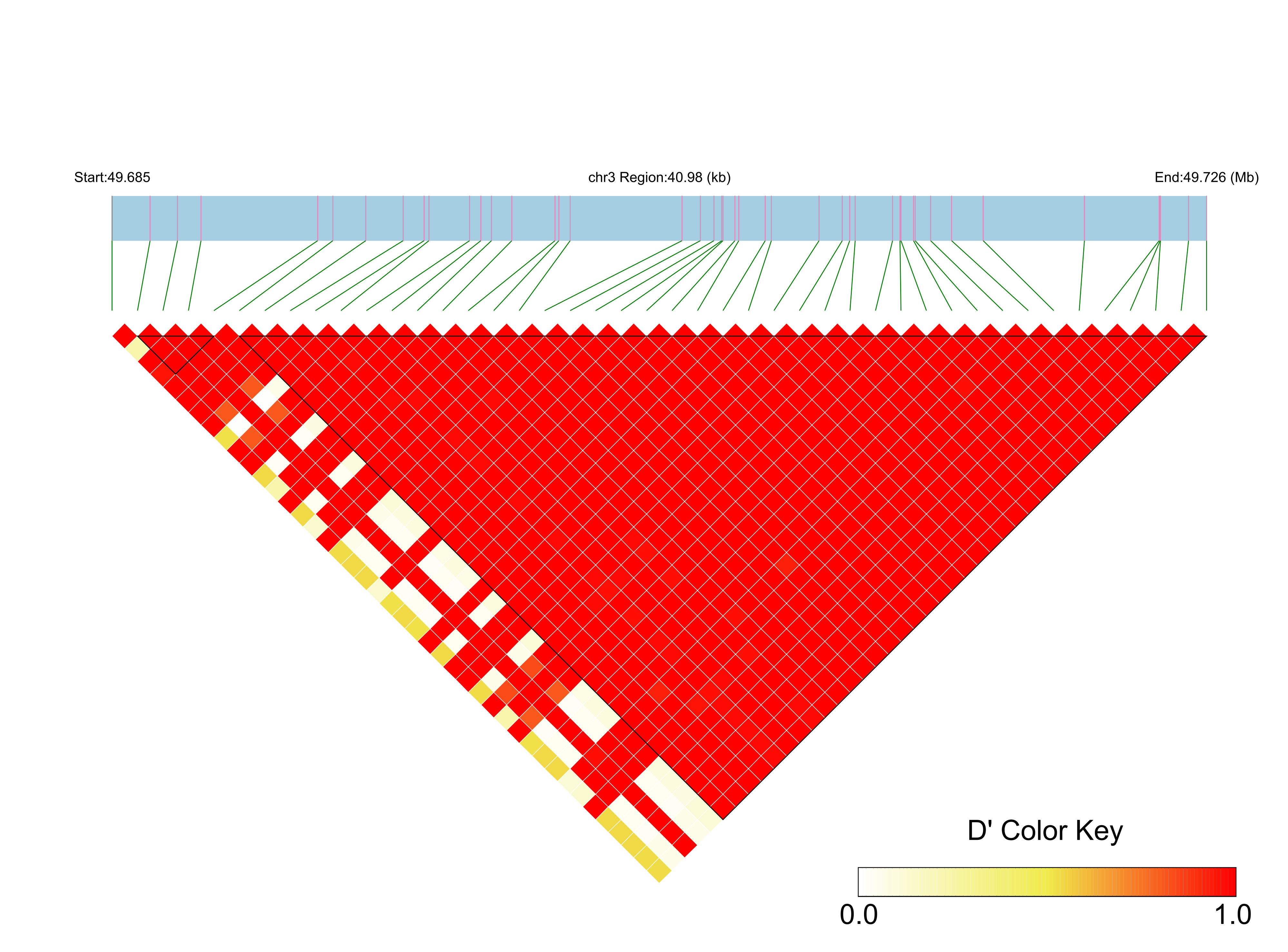 LD