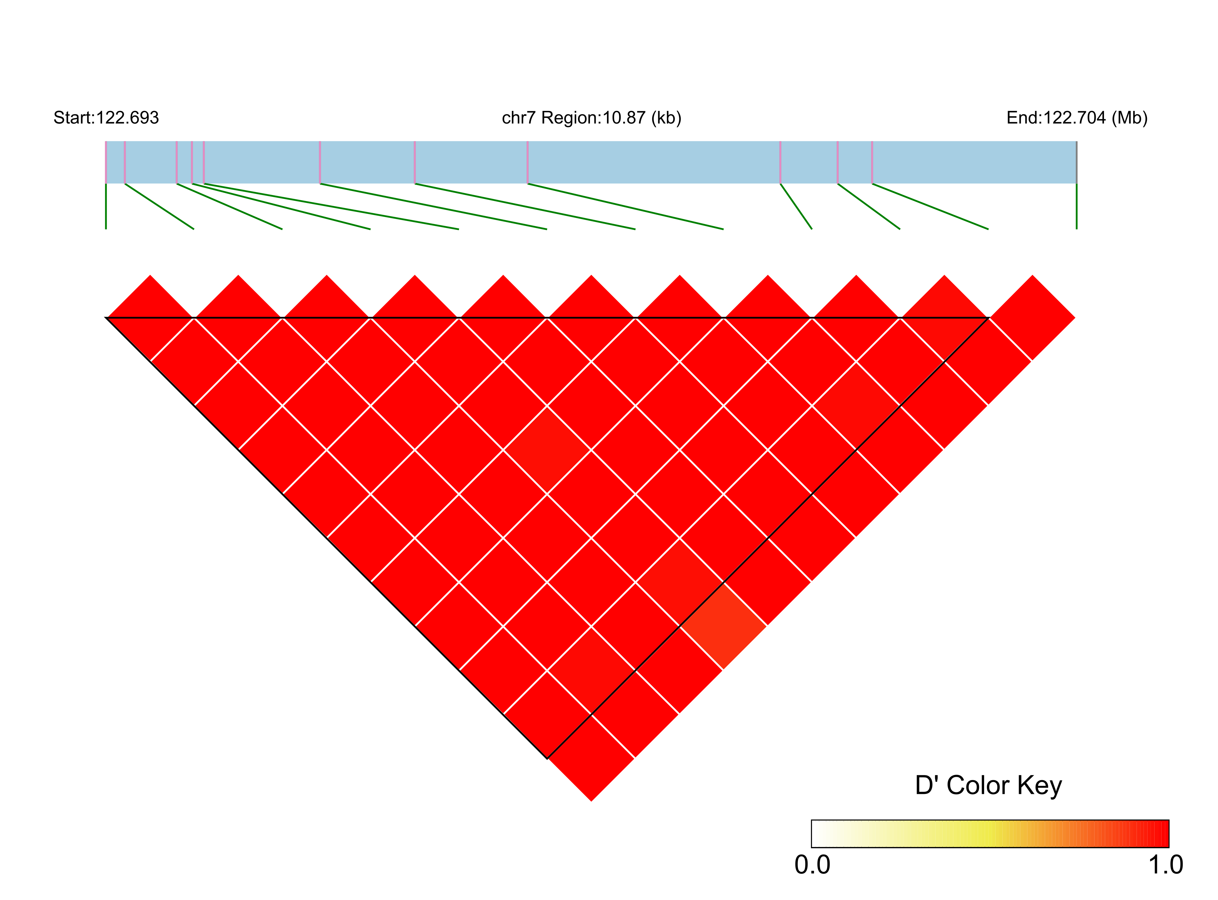 LD