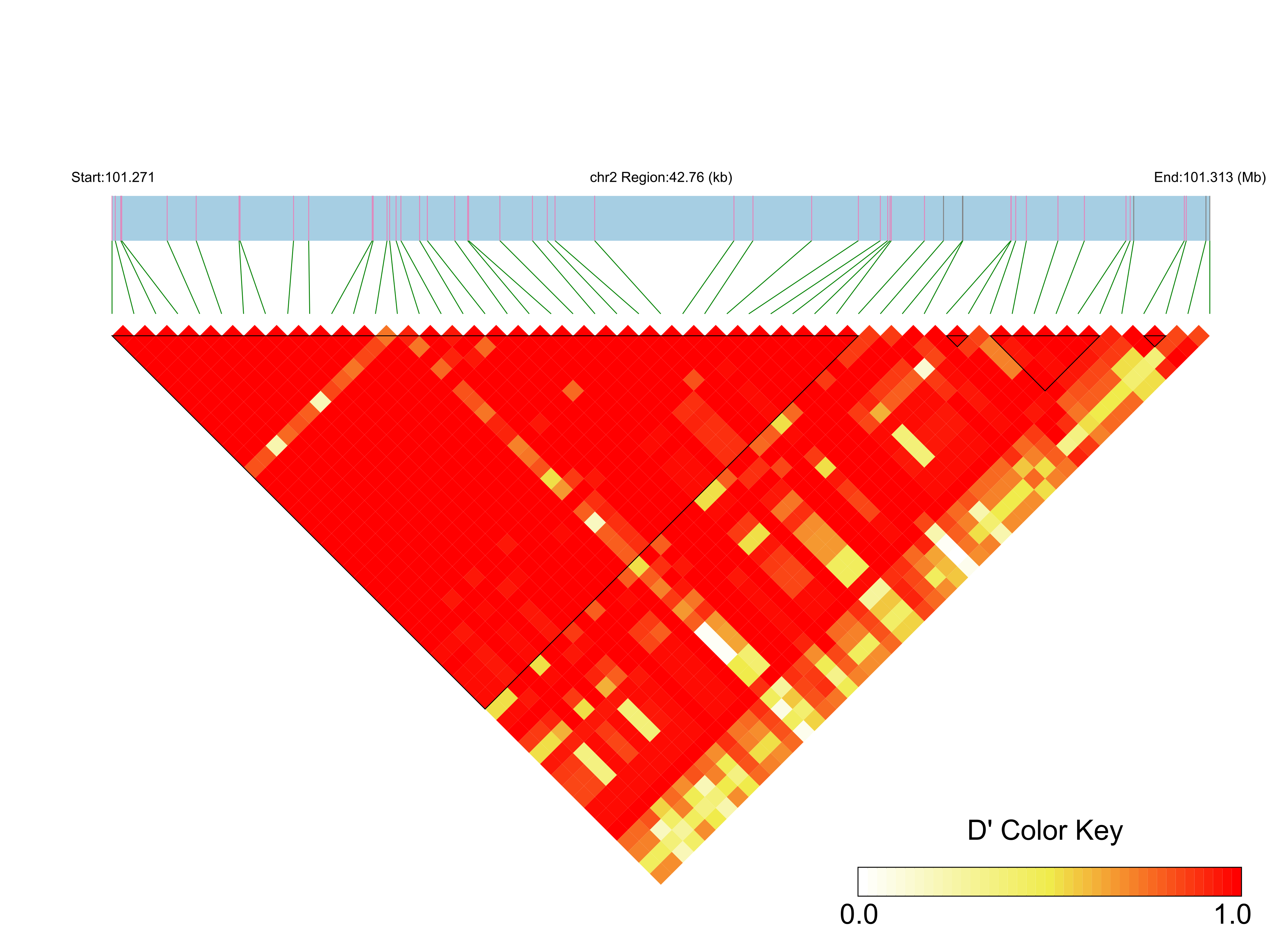 LD