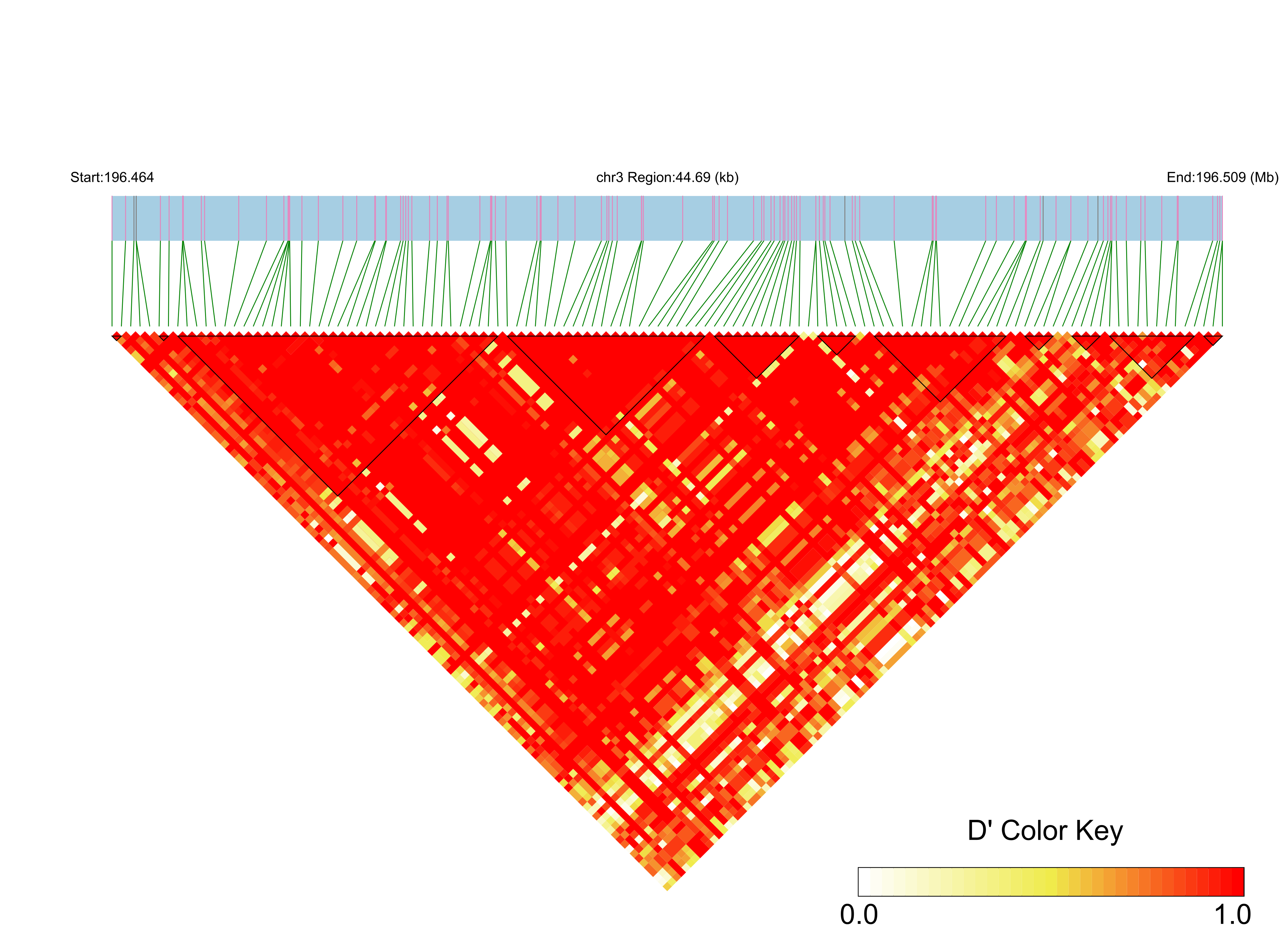 LD