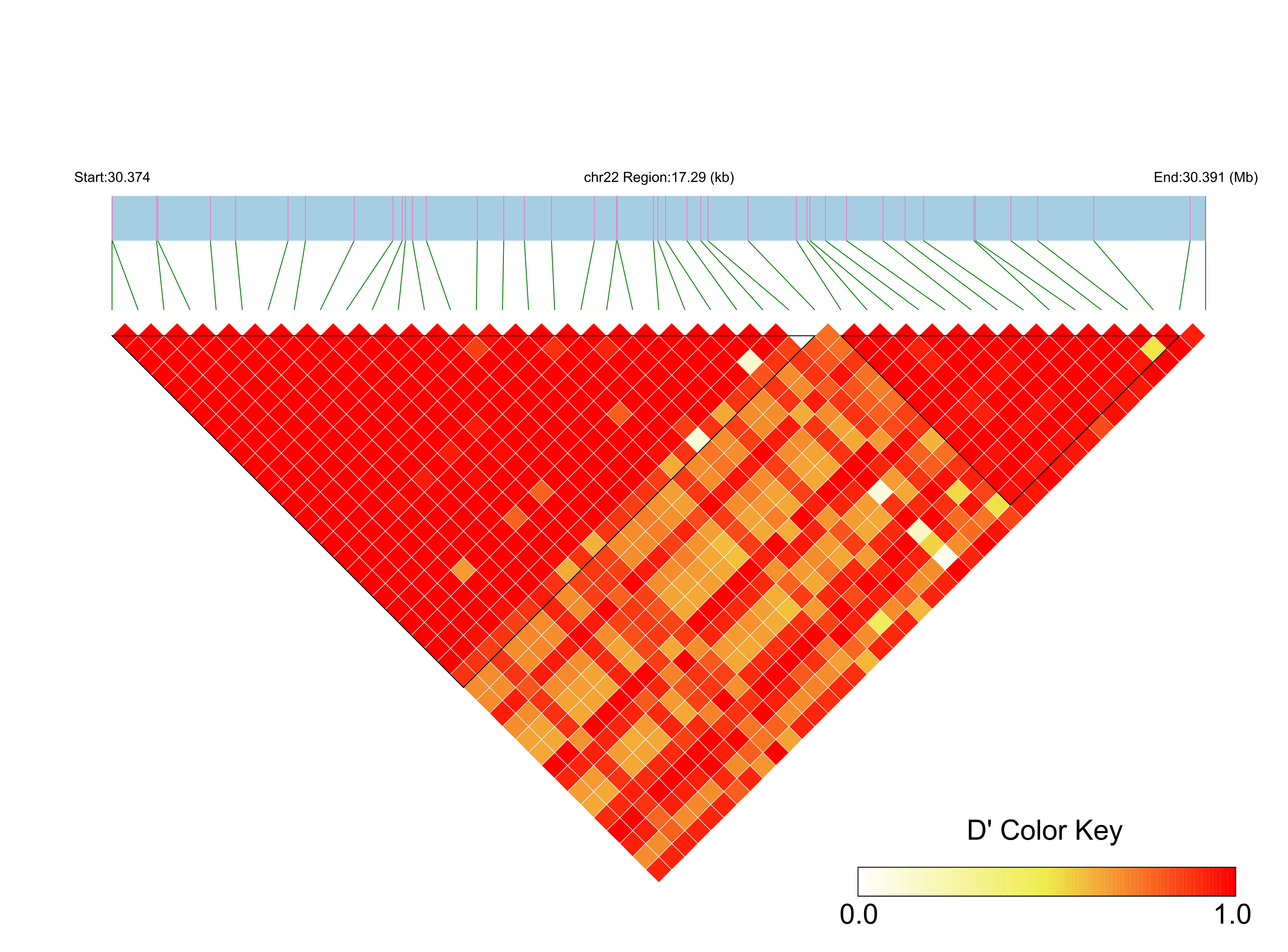 LD