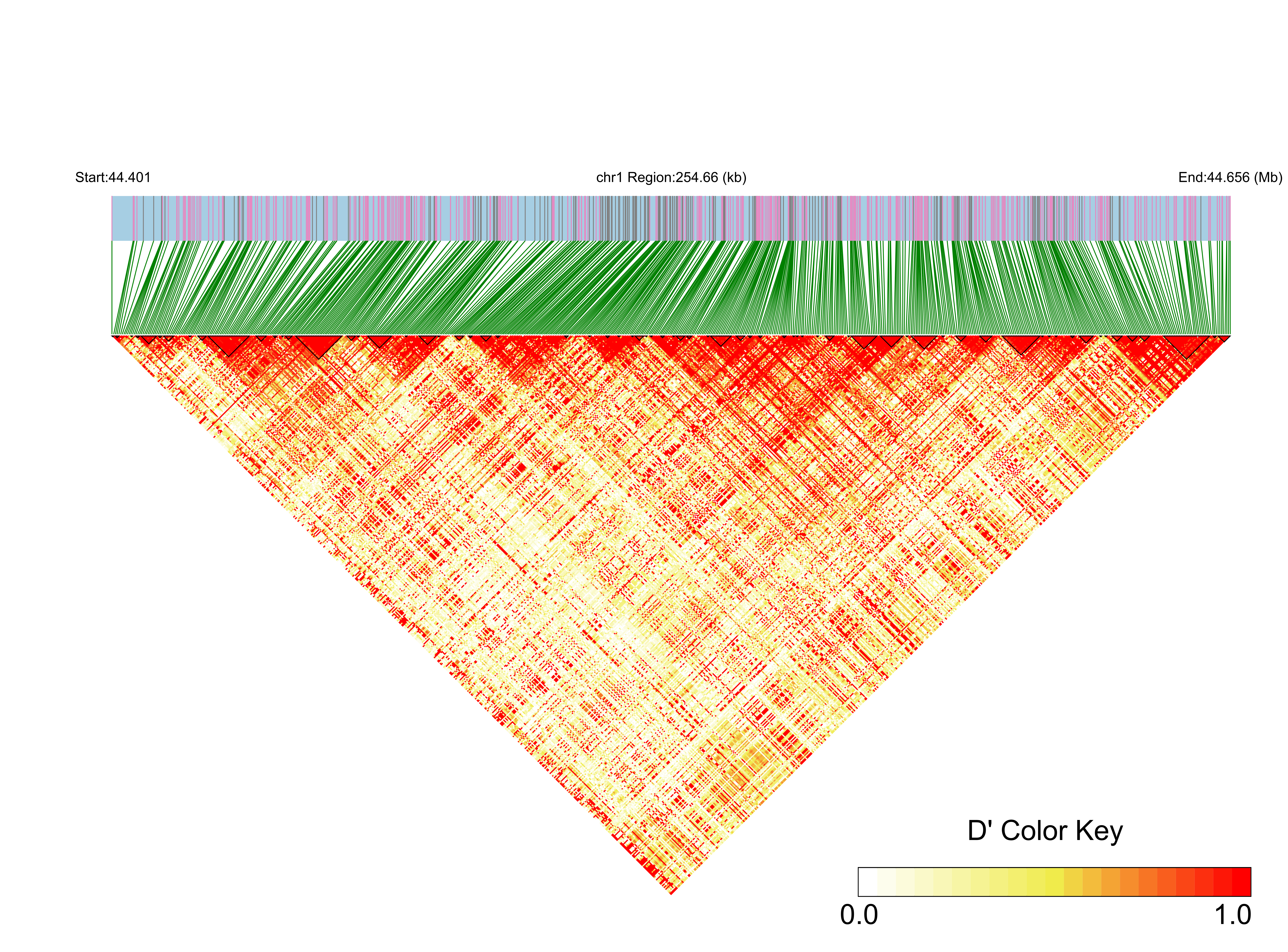 LD