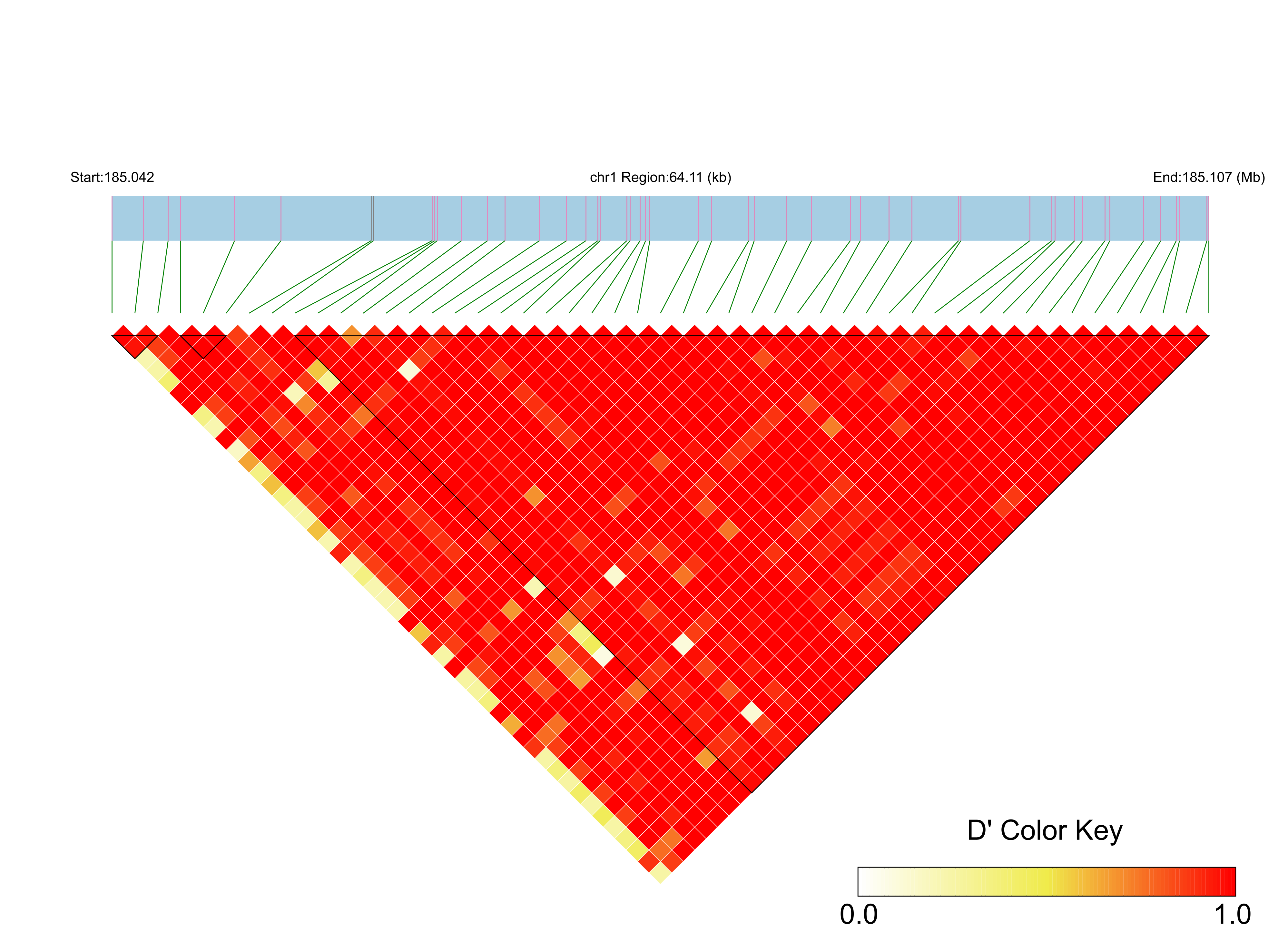 LD