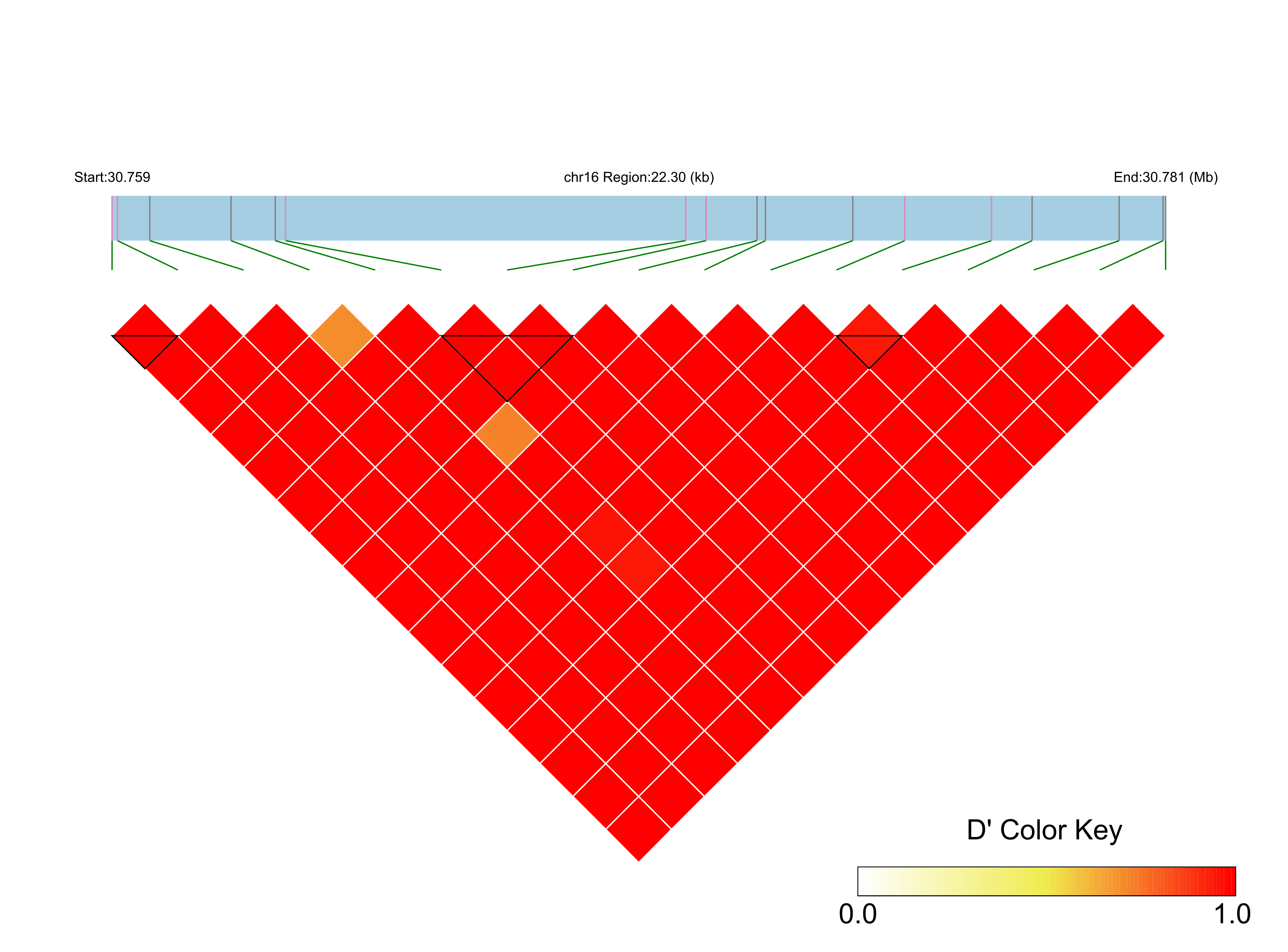 LD