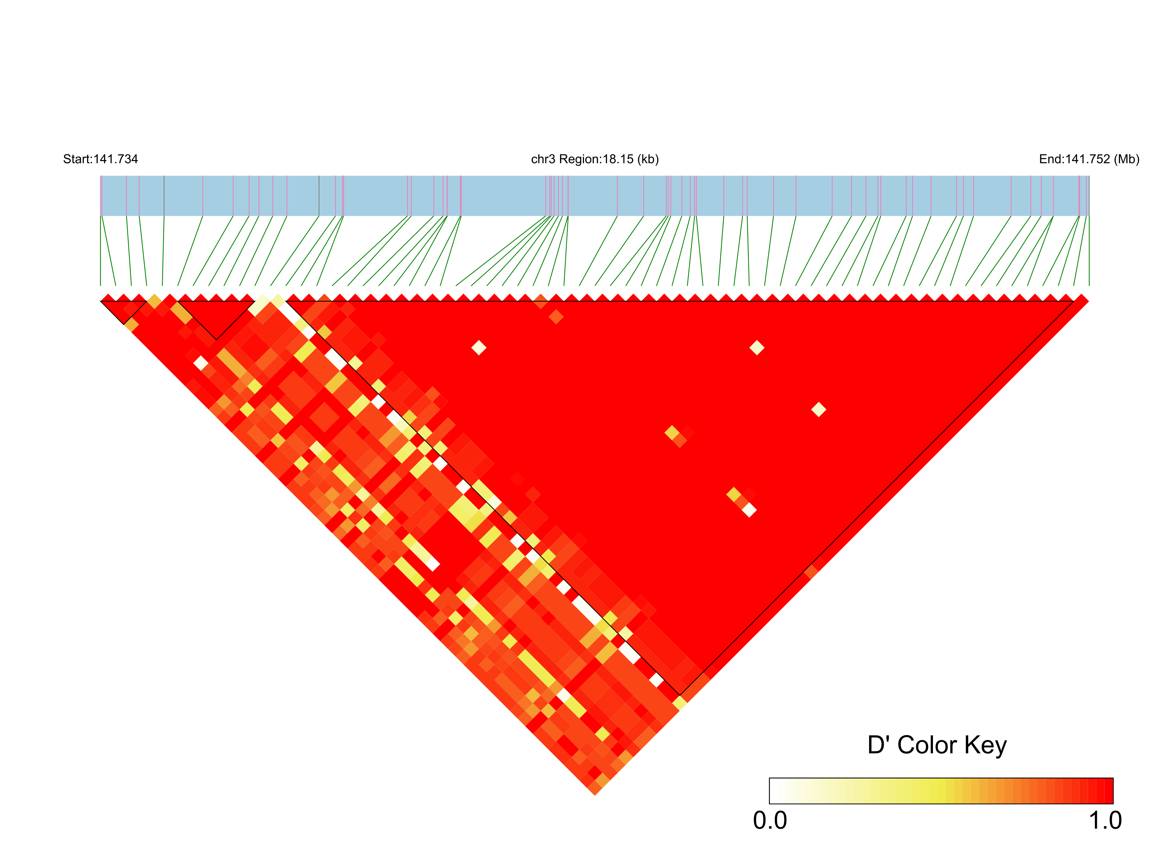 LD