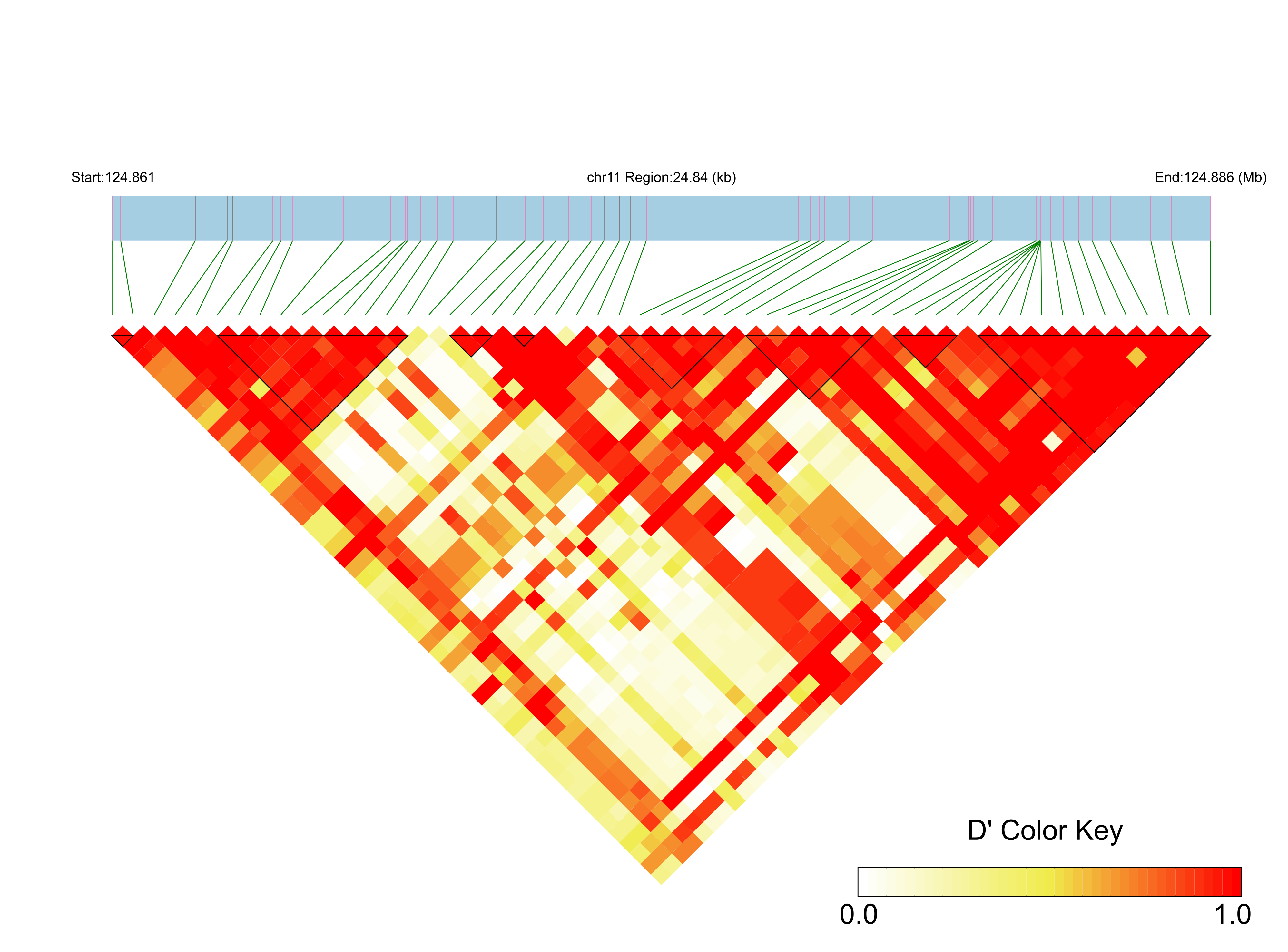 LD