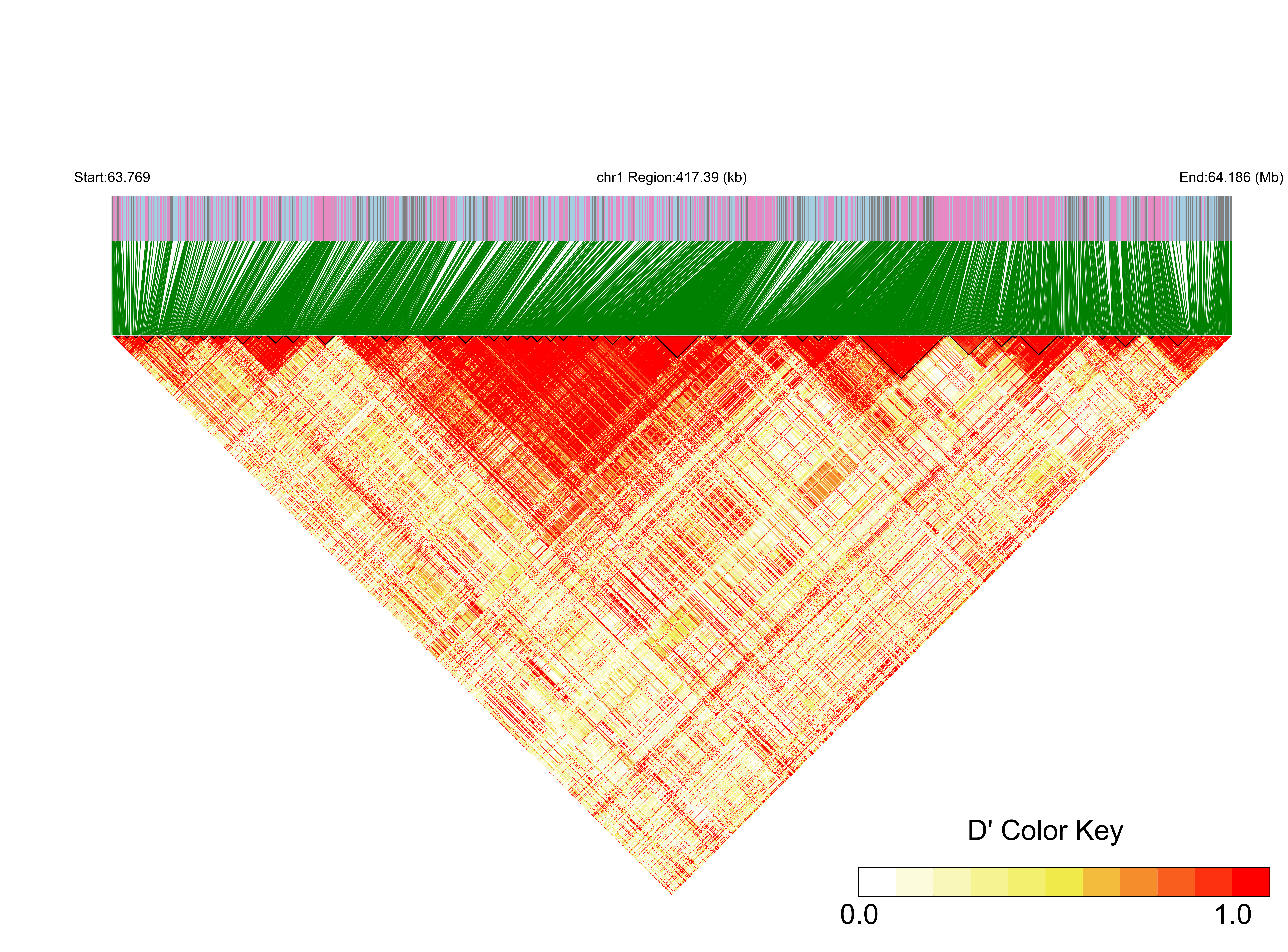 LD