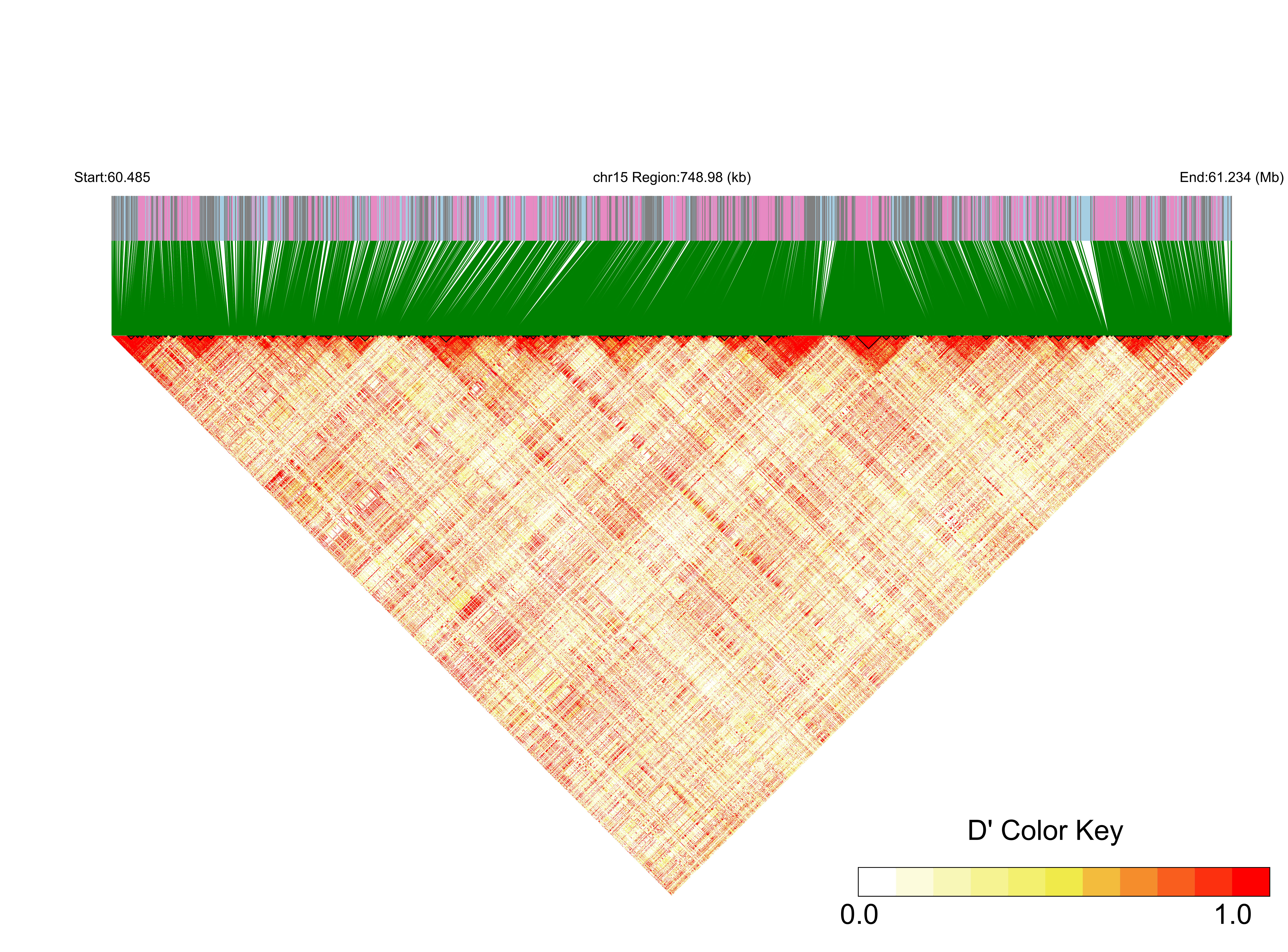 LD