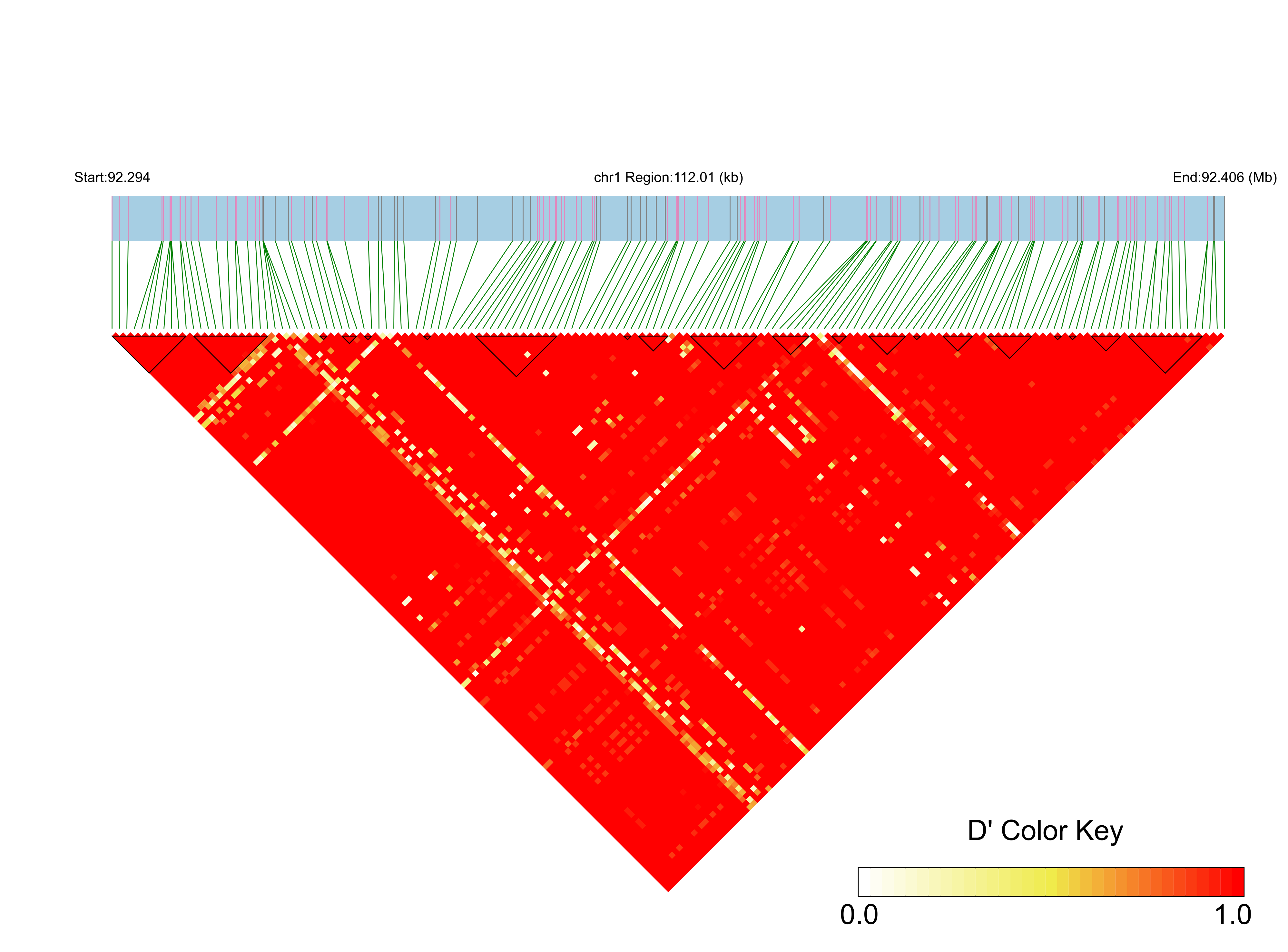 LD