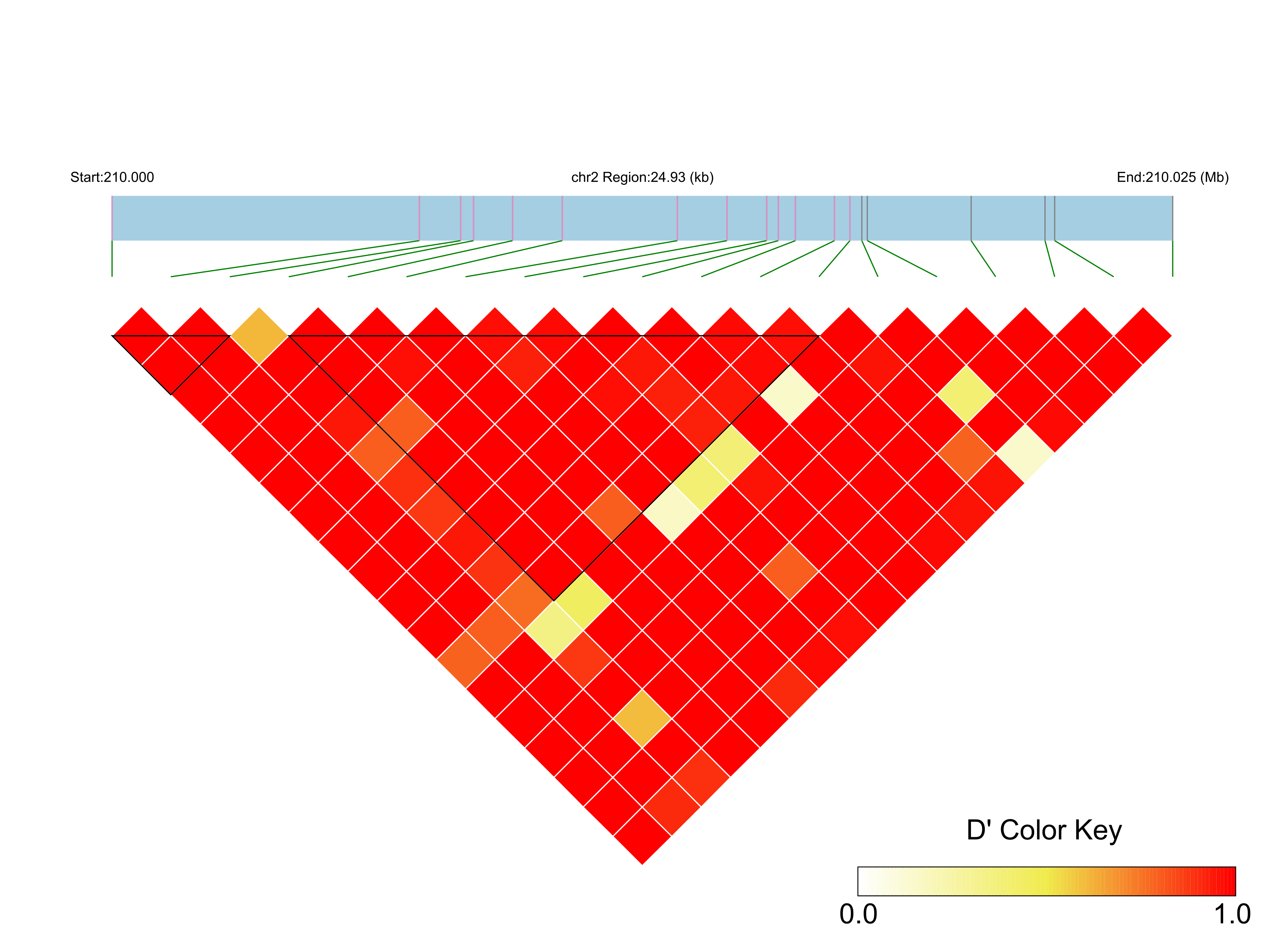 LD