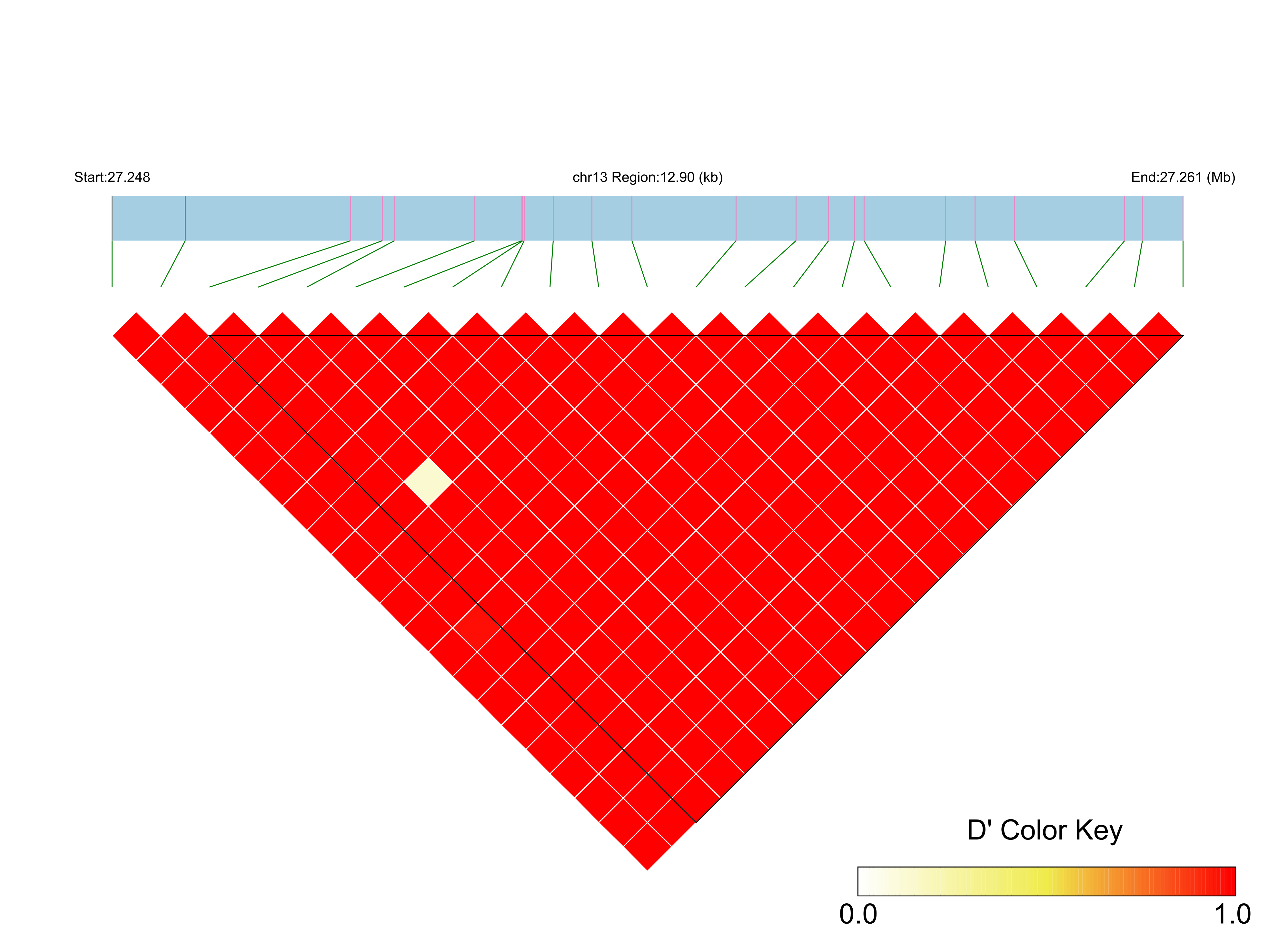 LD