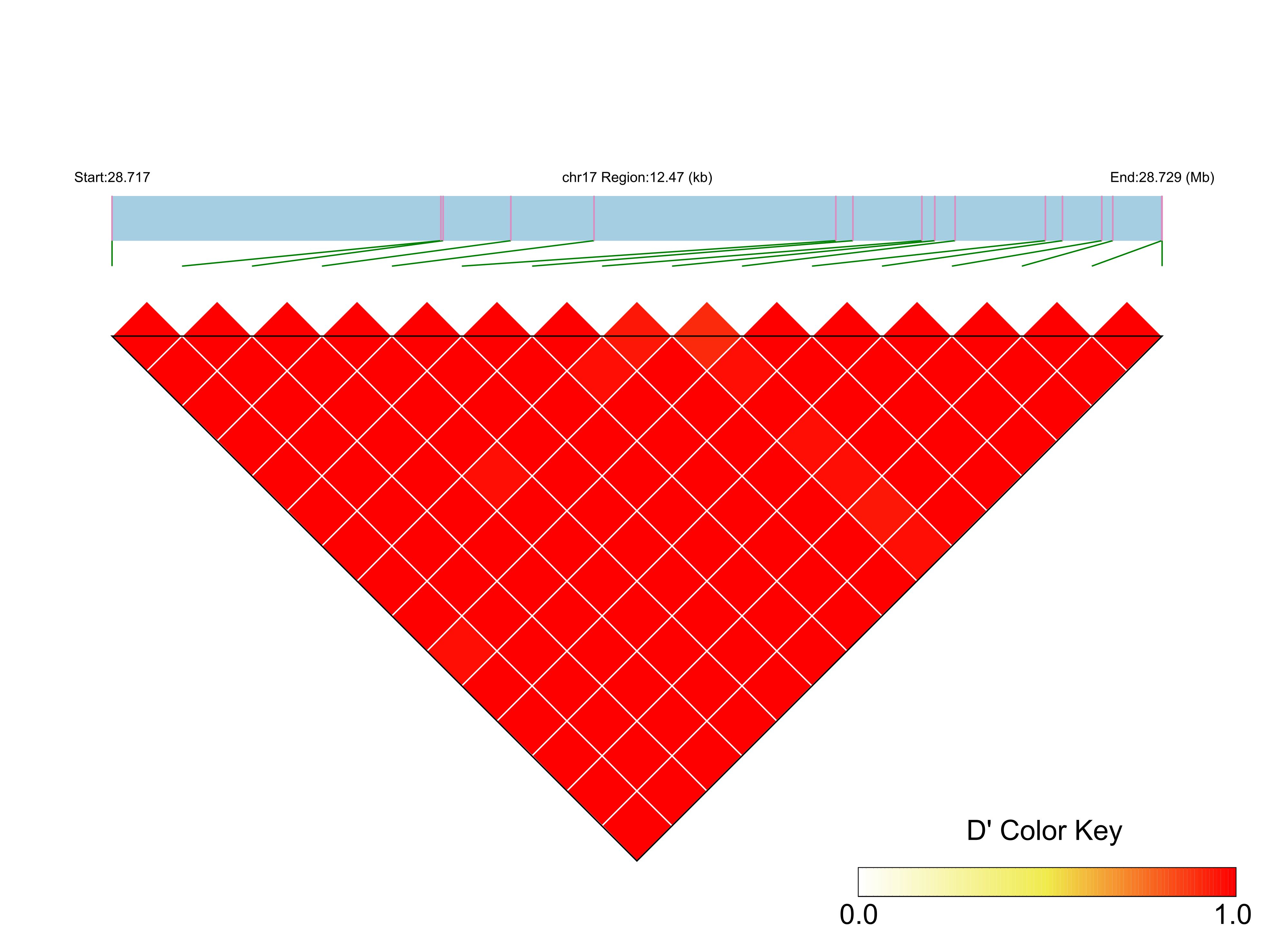 LD