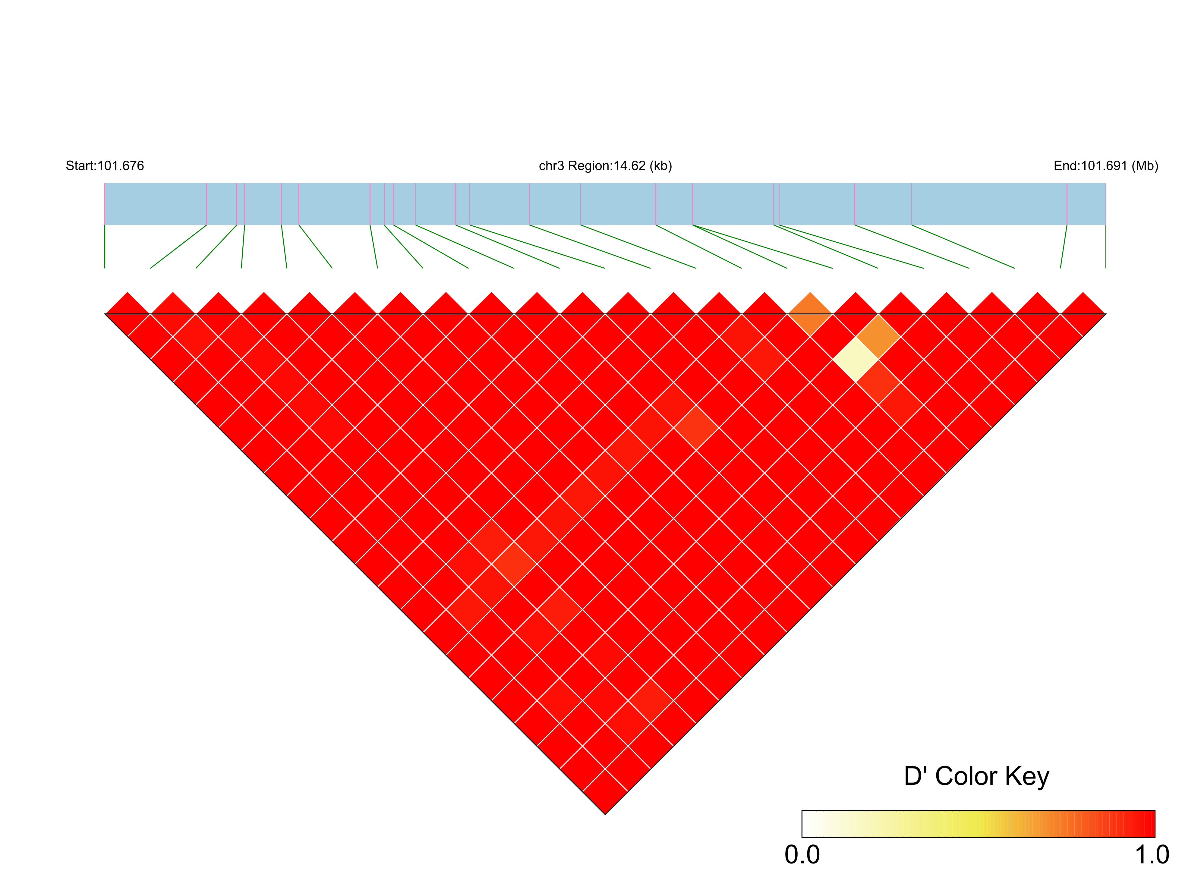 LD
