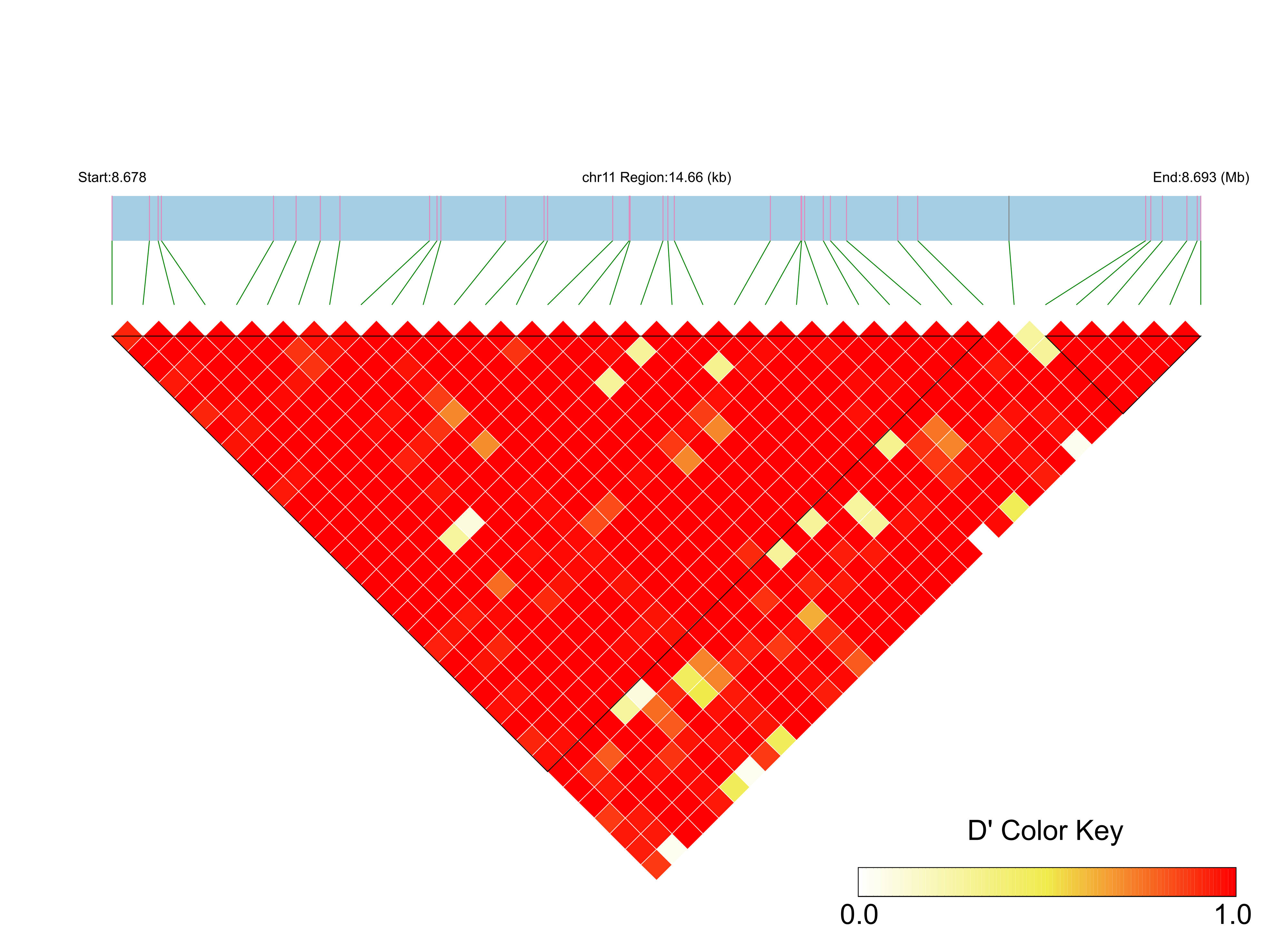 LD
