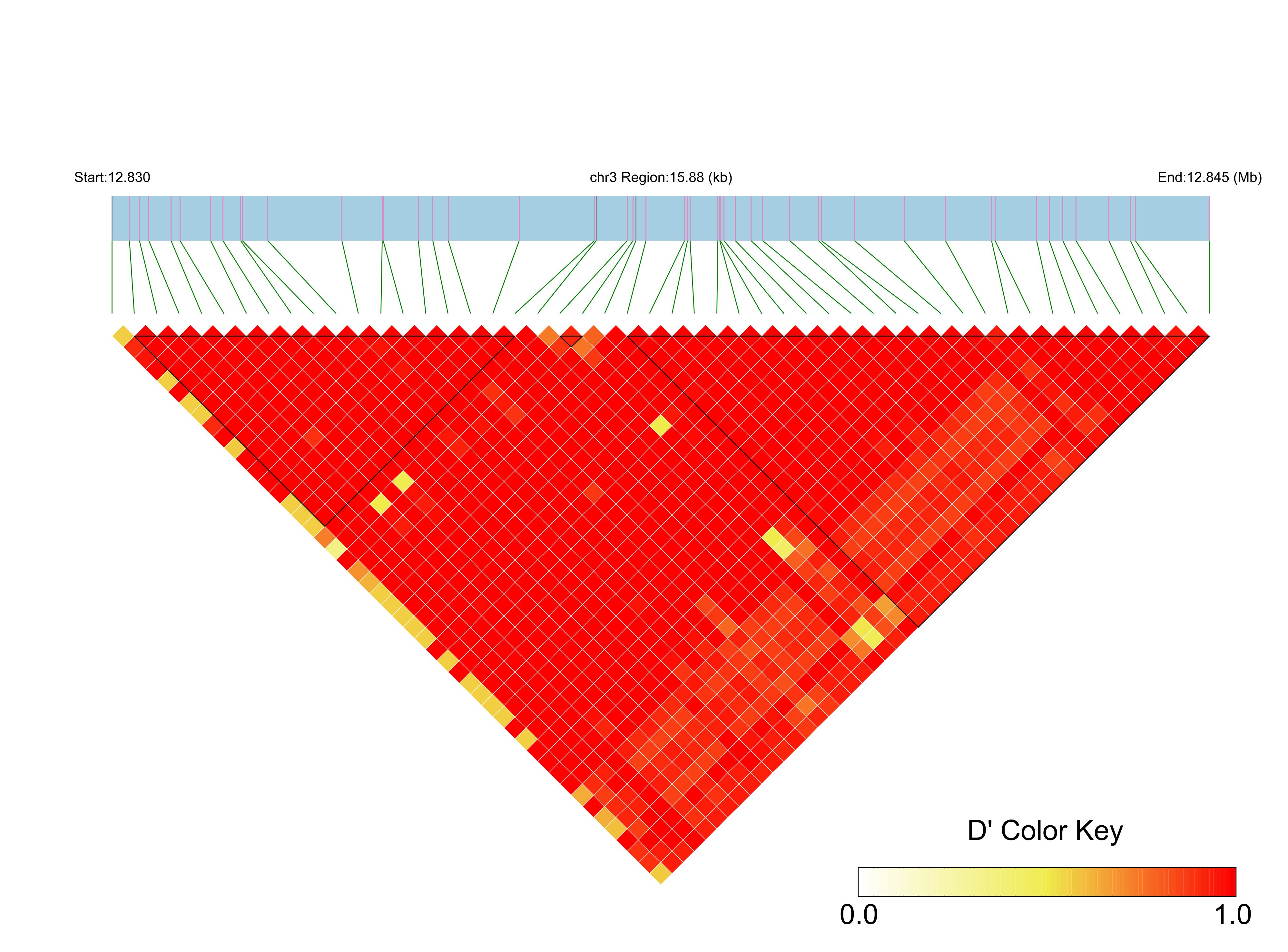 LD