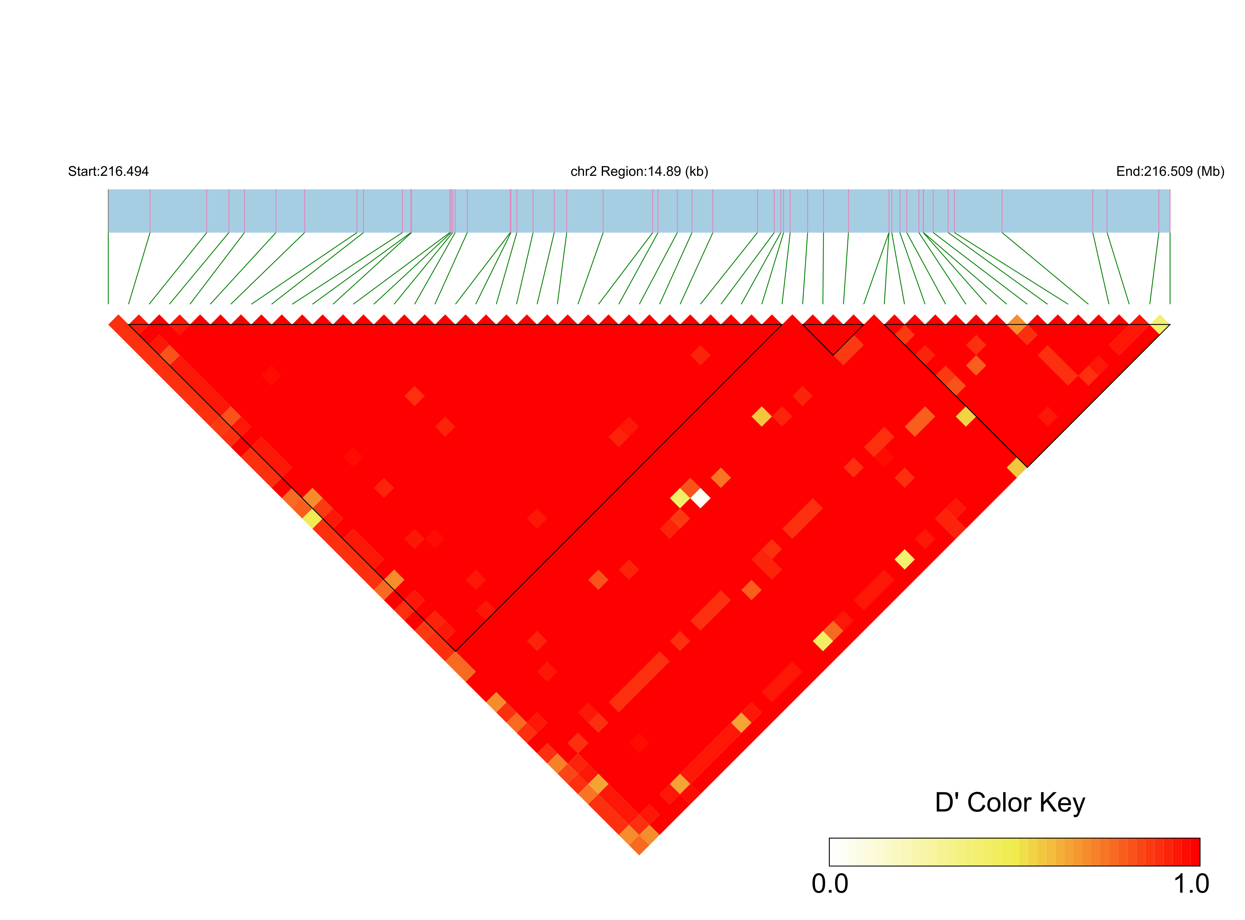 LD