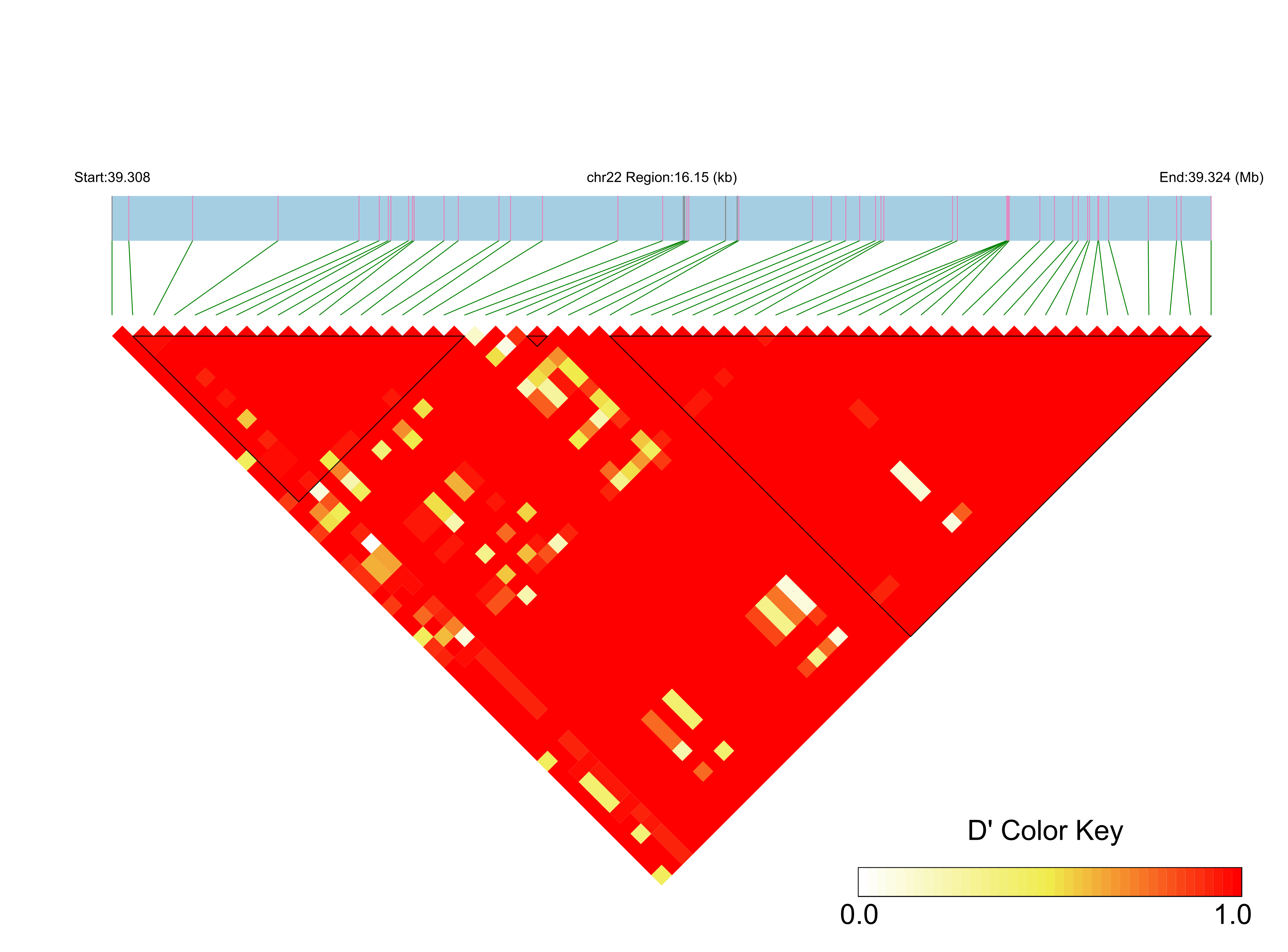 LD