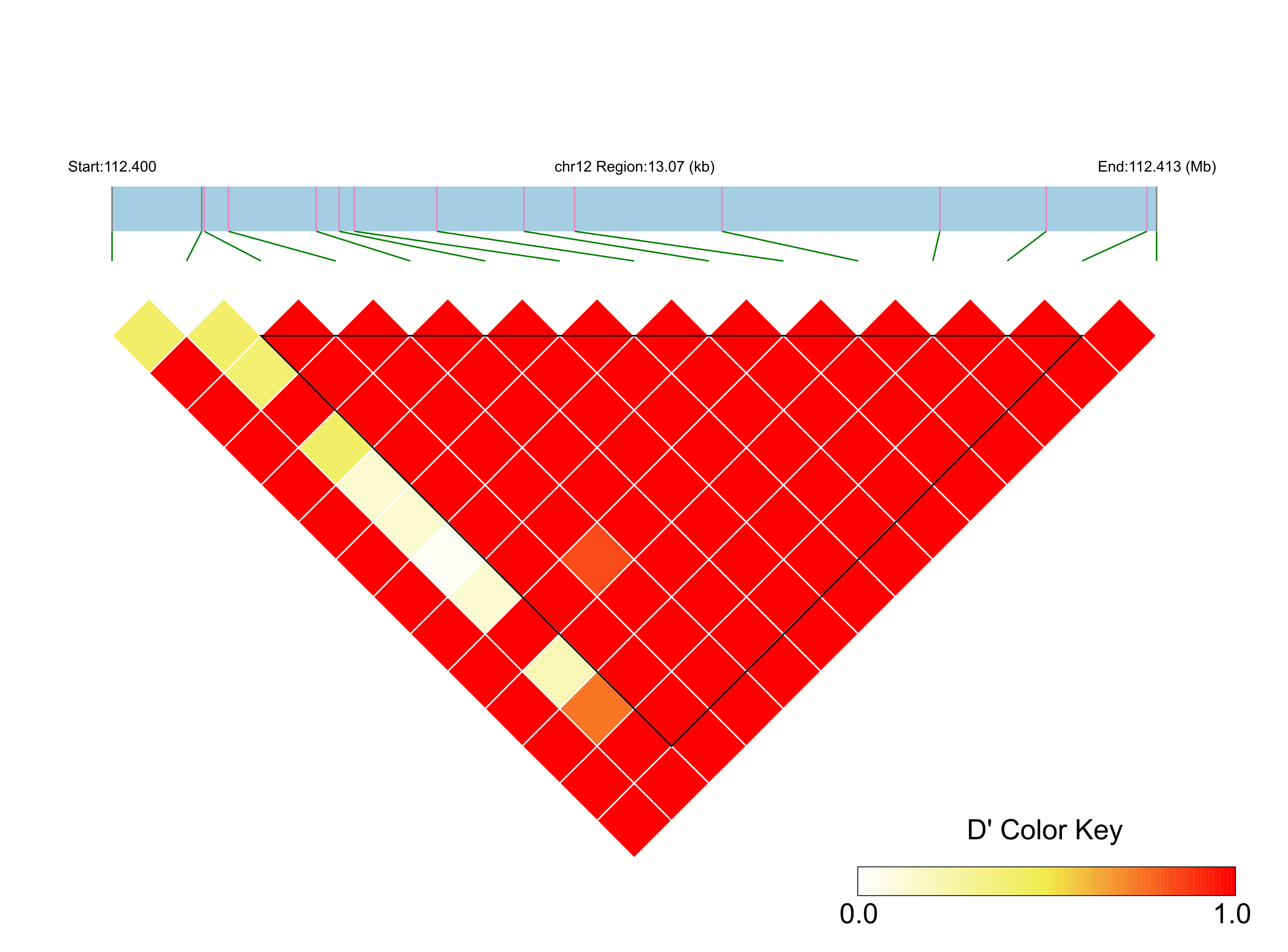 LD