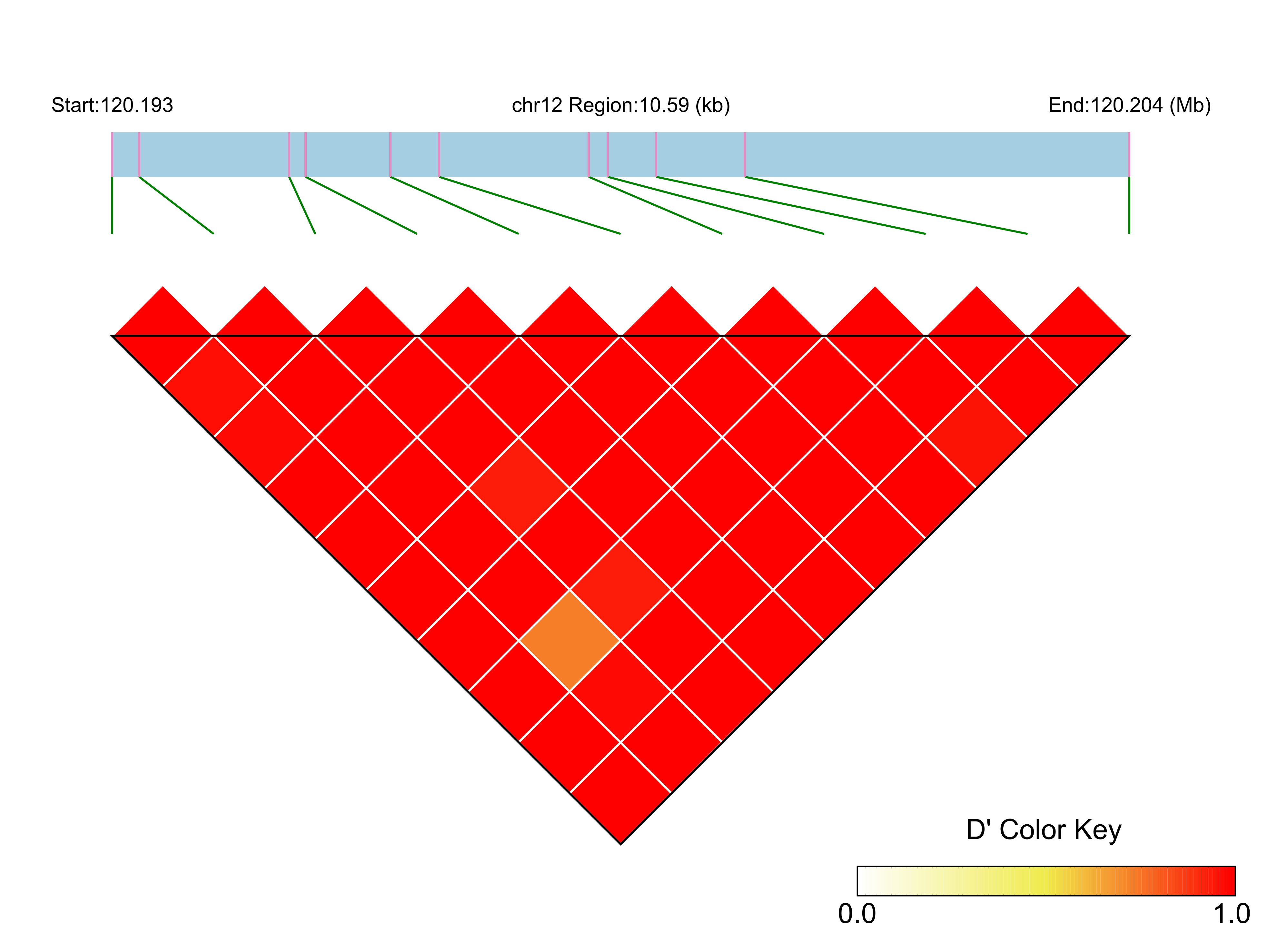 LD