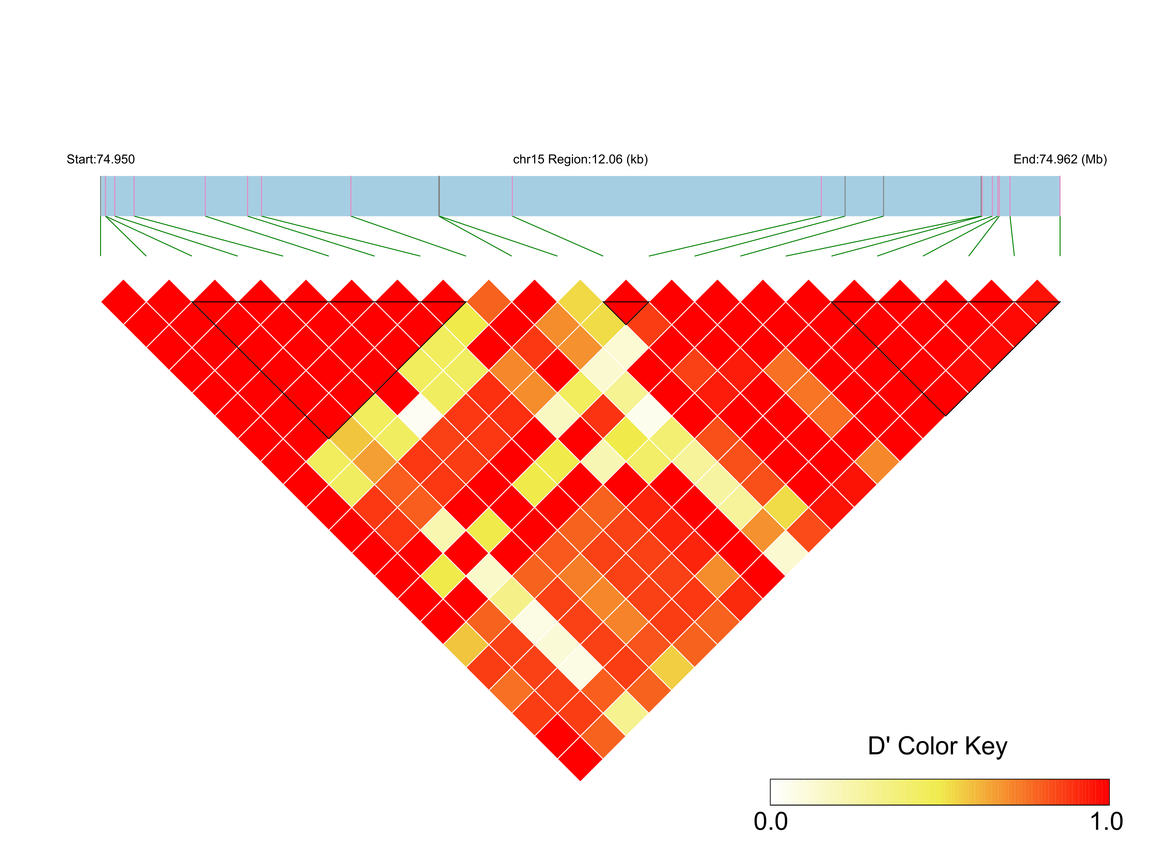 LD