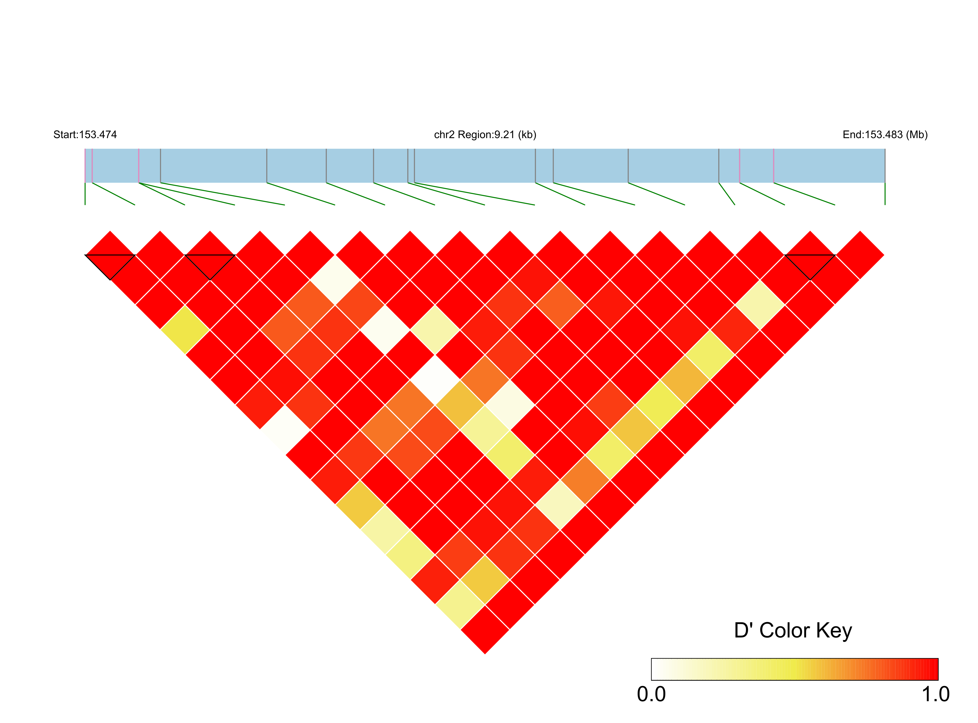 LD