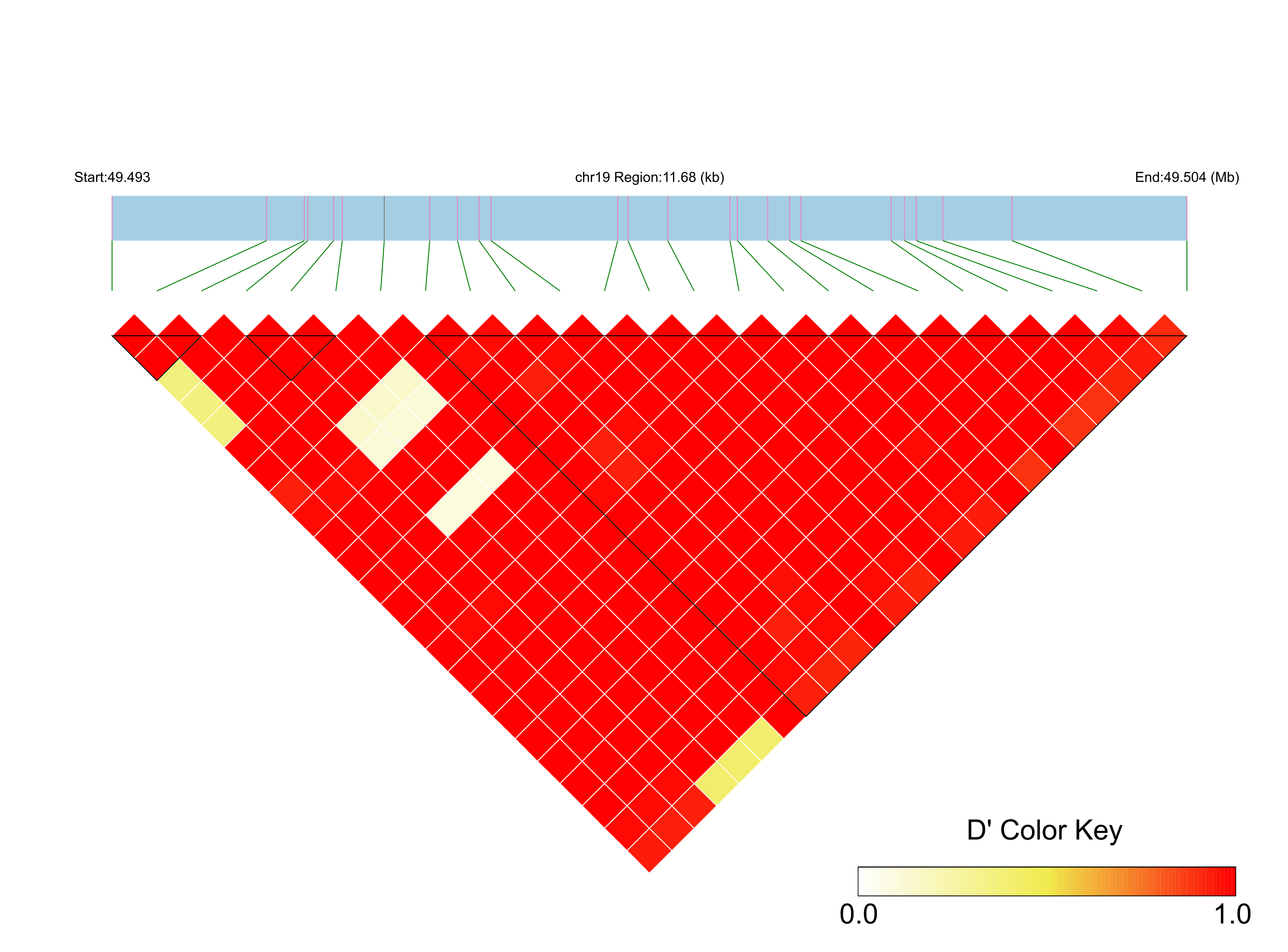 LD
