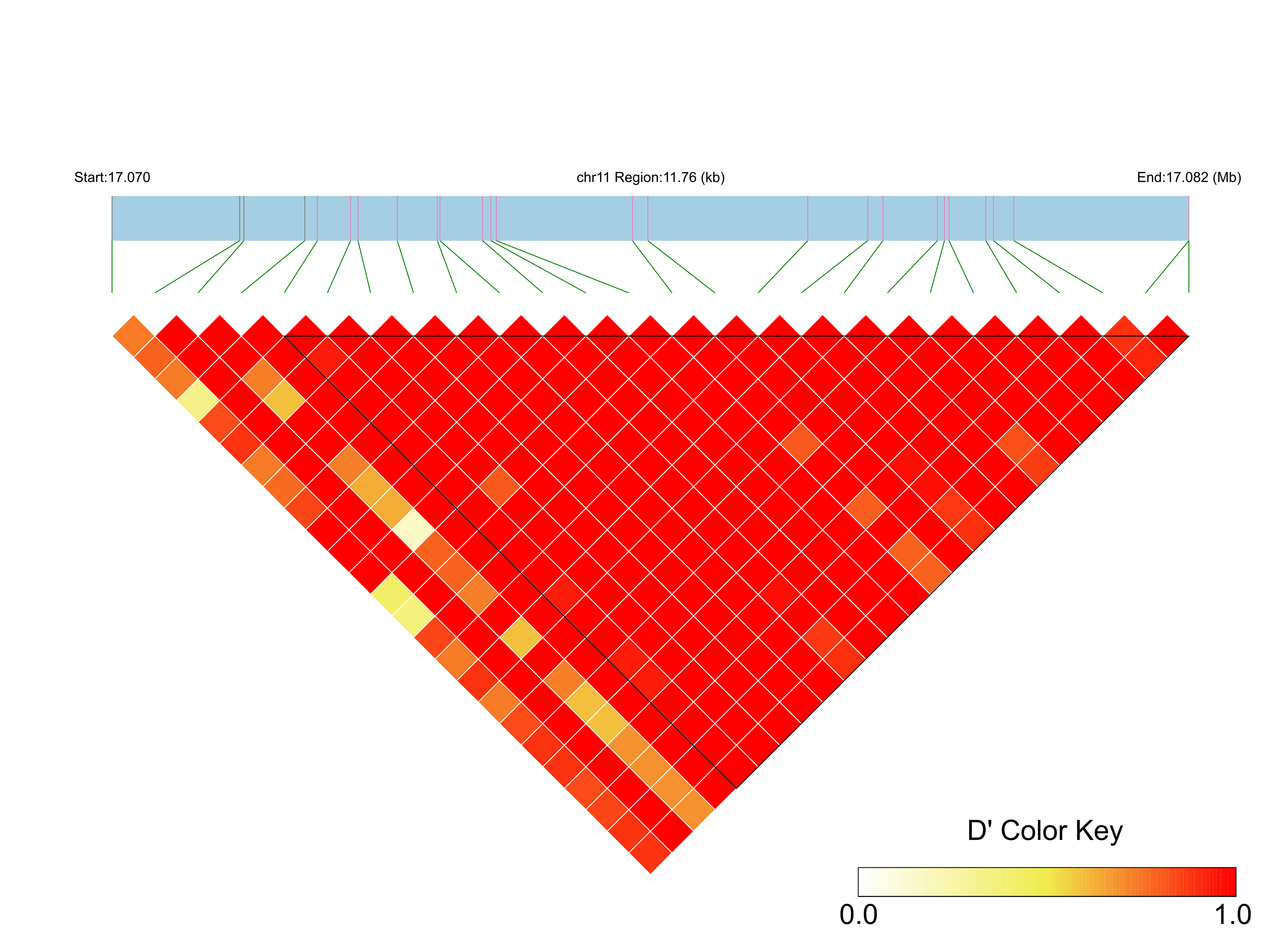 LD