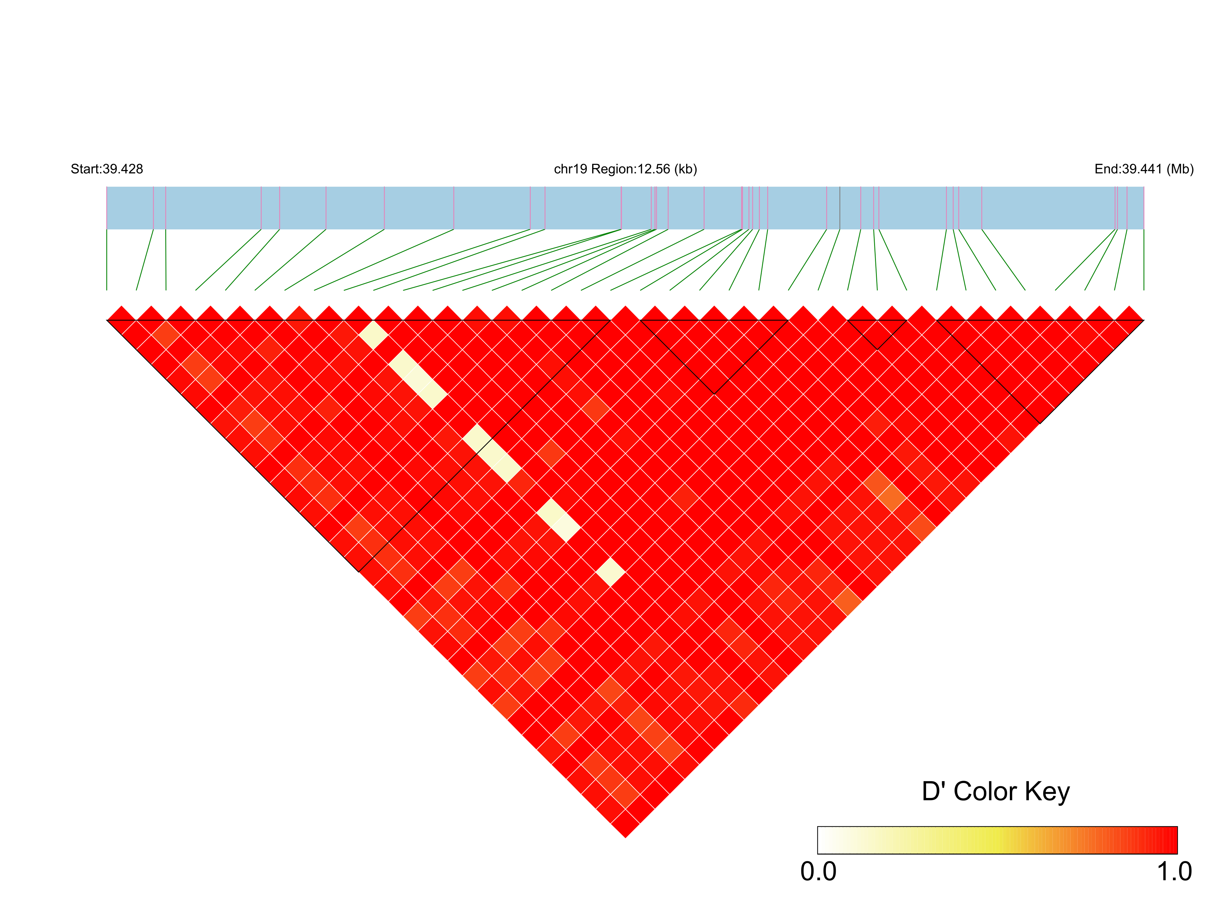 LD