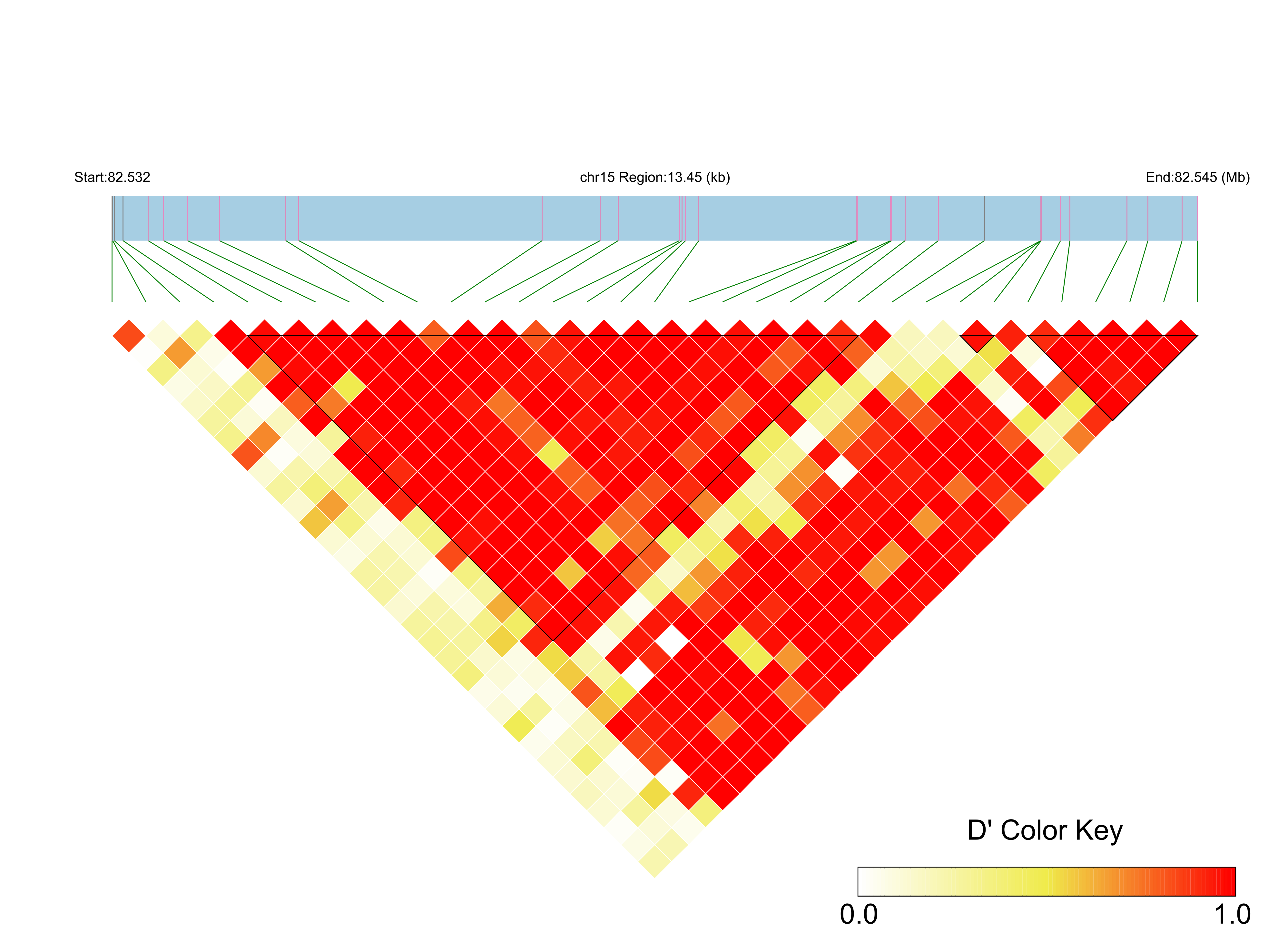 LD