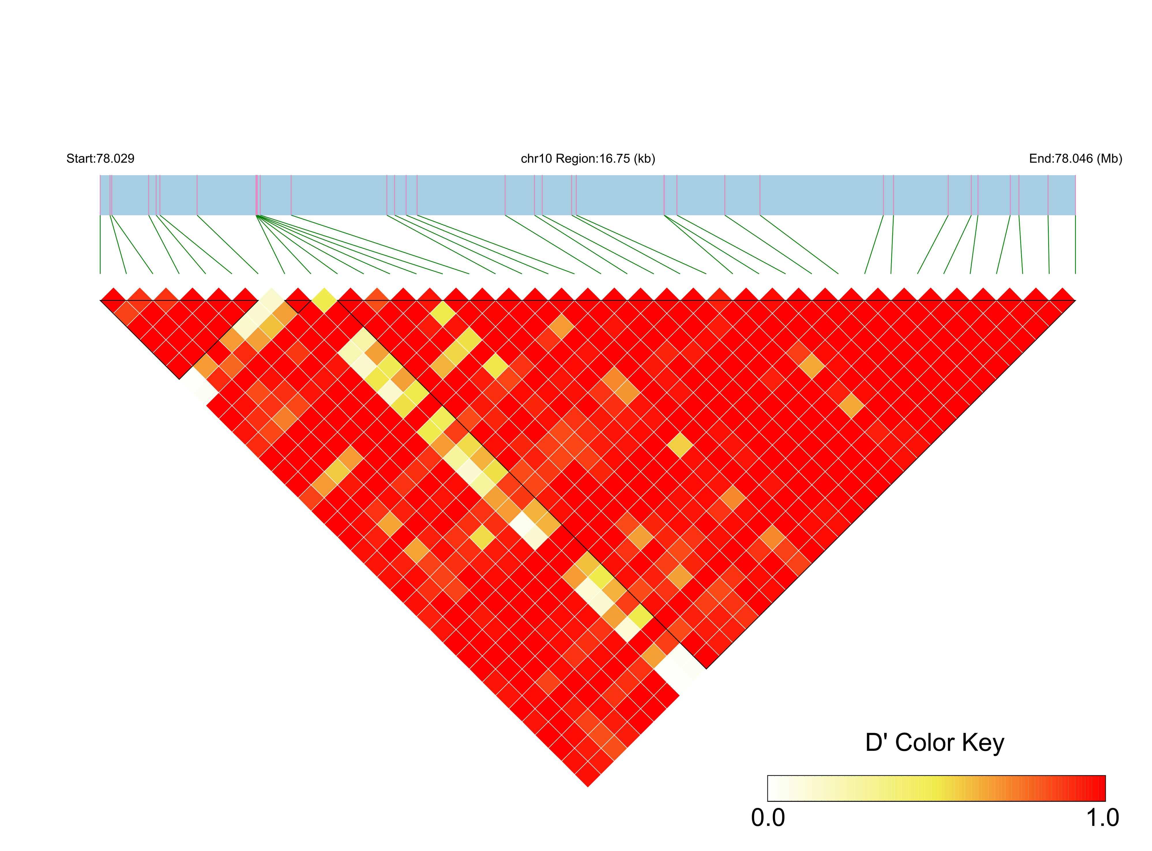 LD
