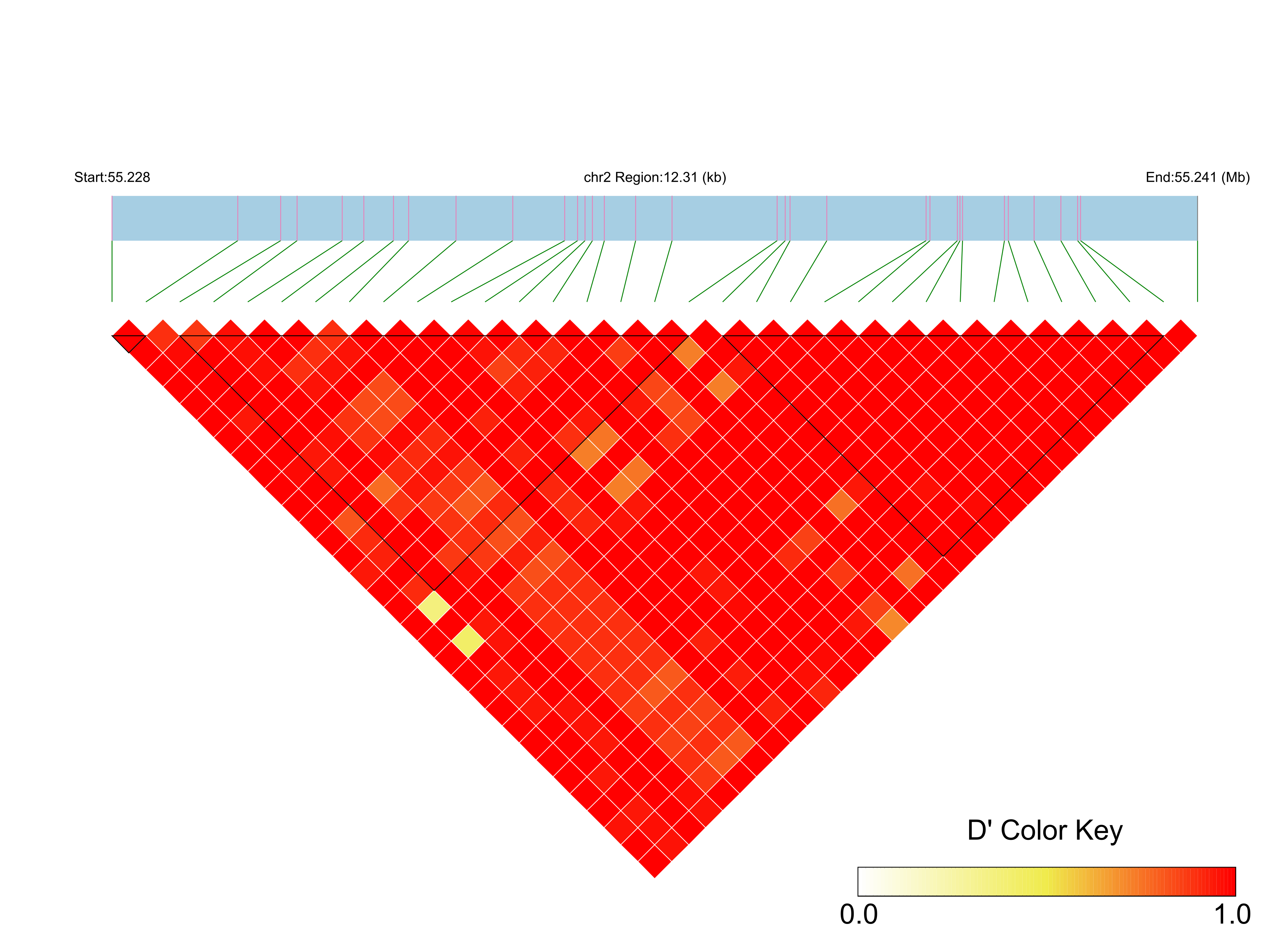 LD