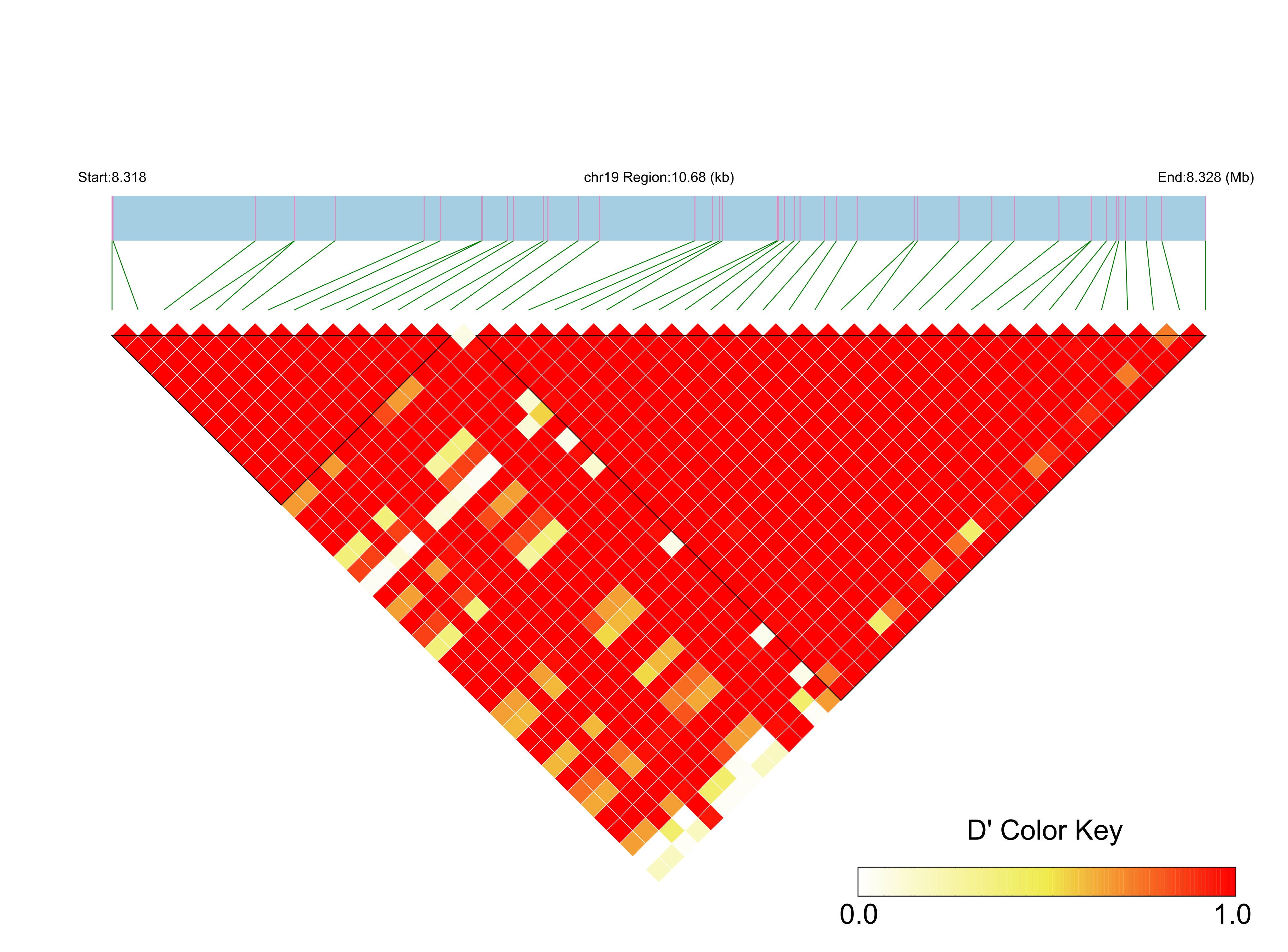 LD