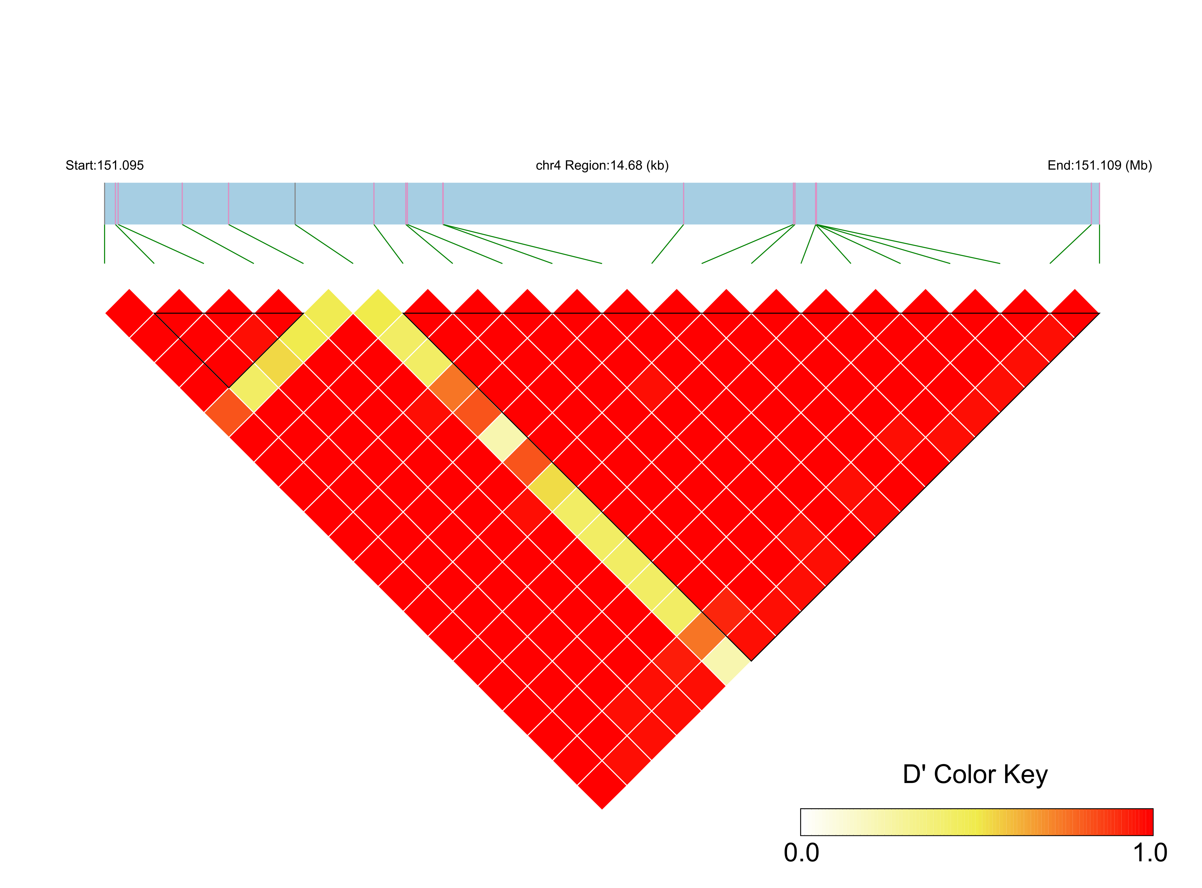 LD