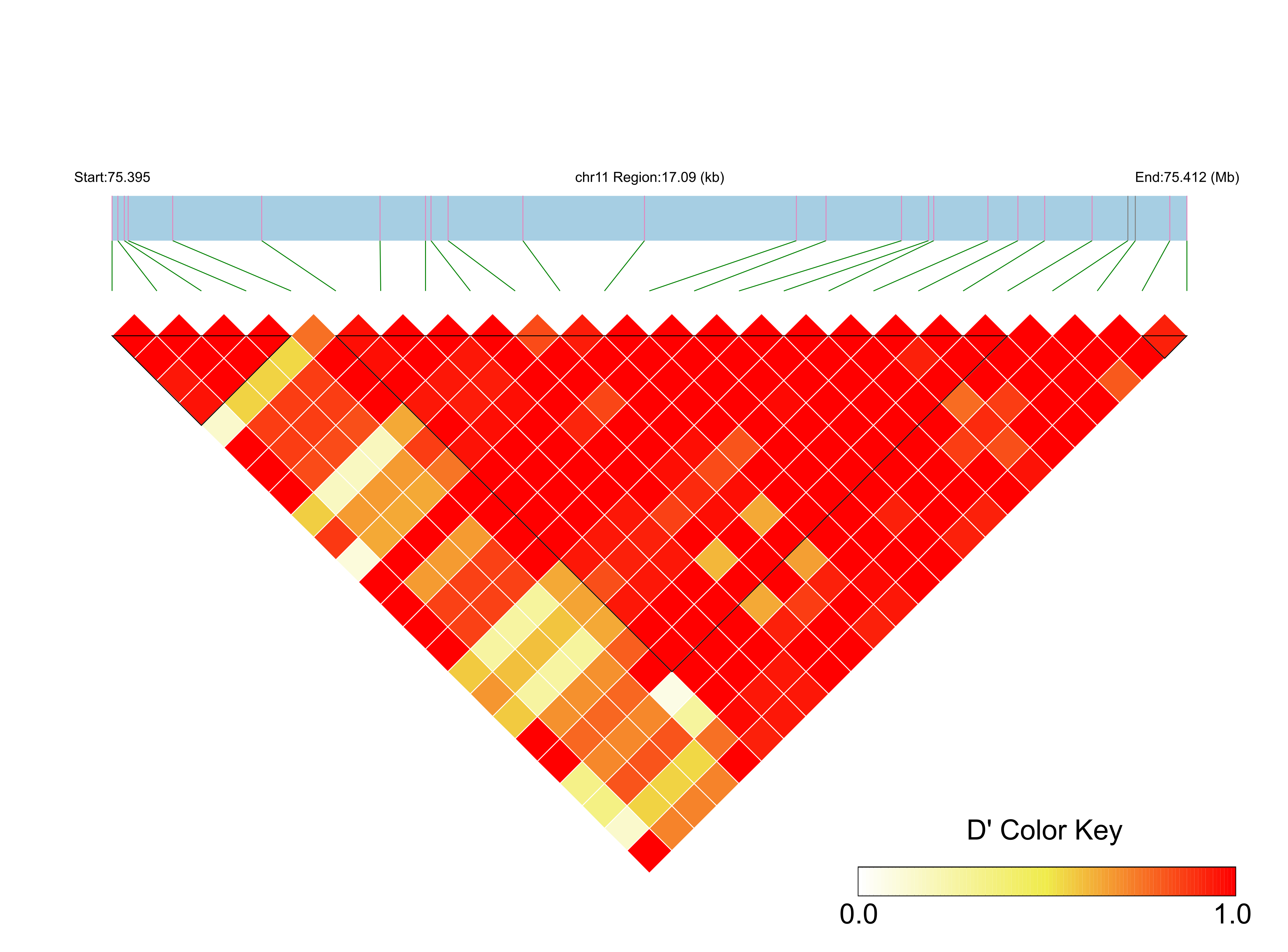 LD