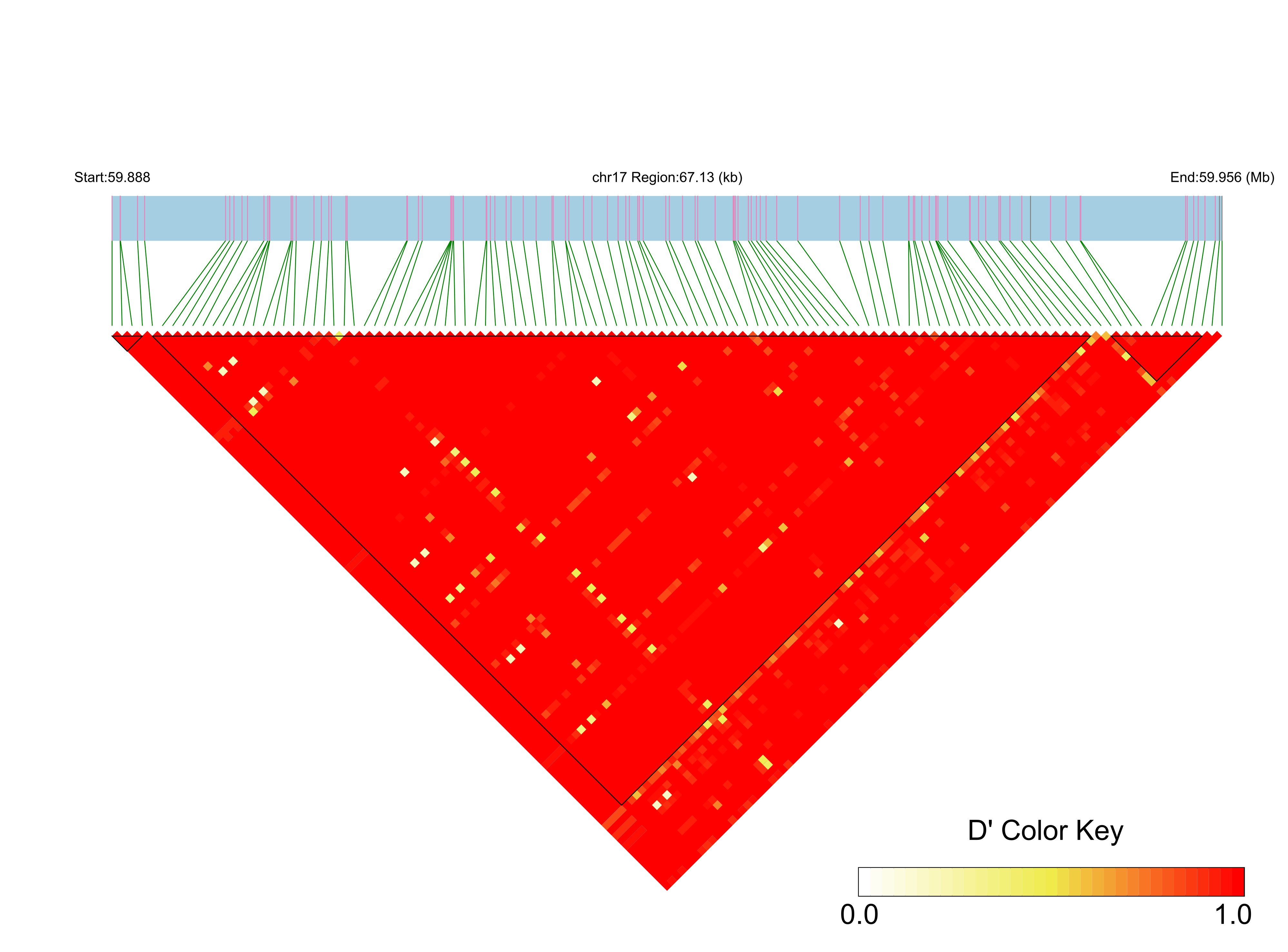 LD