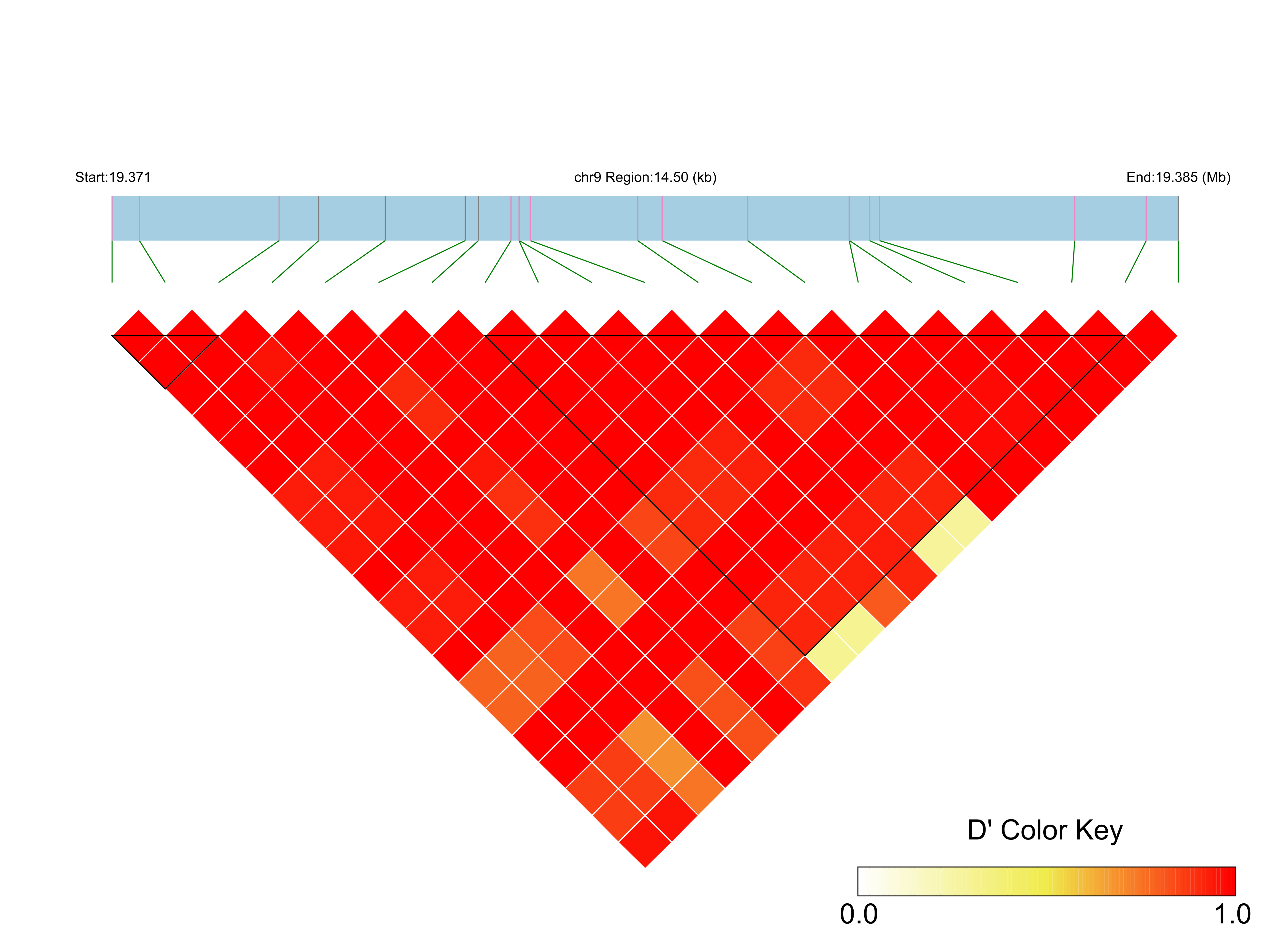 LD