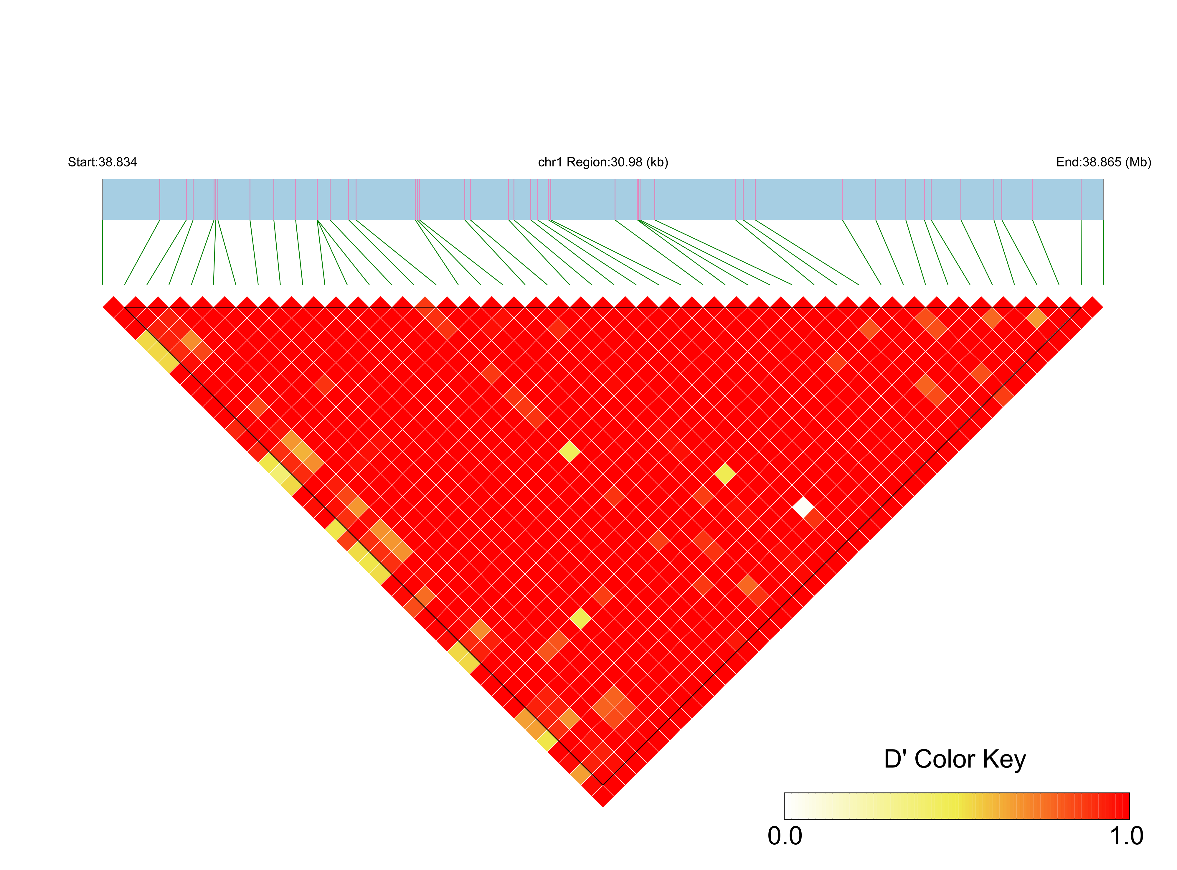 LD