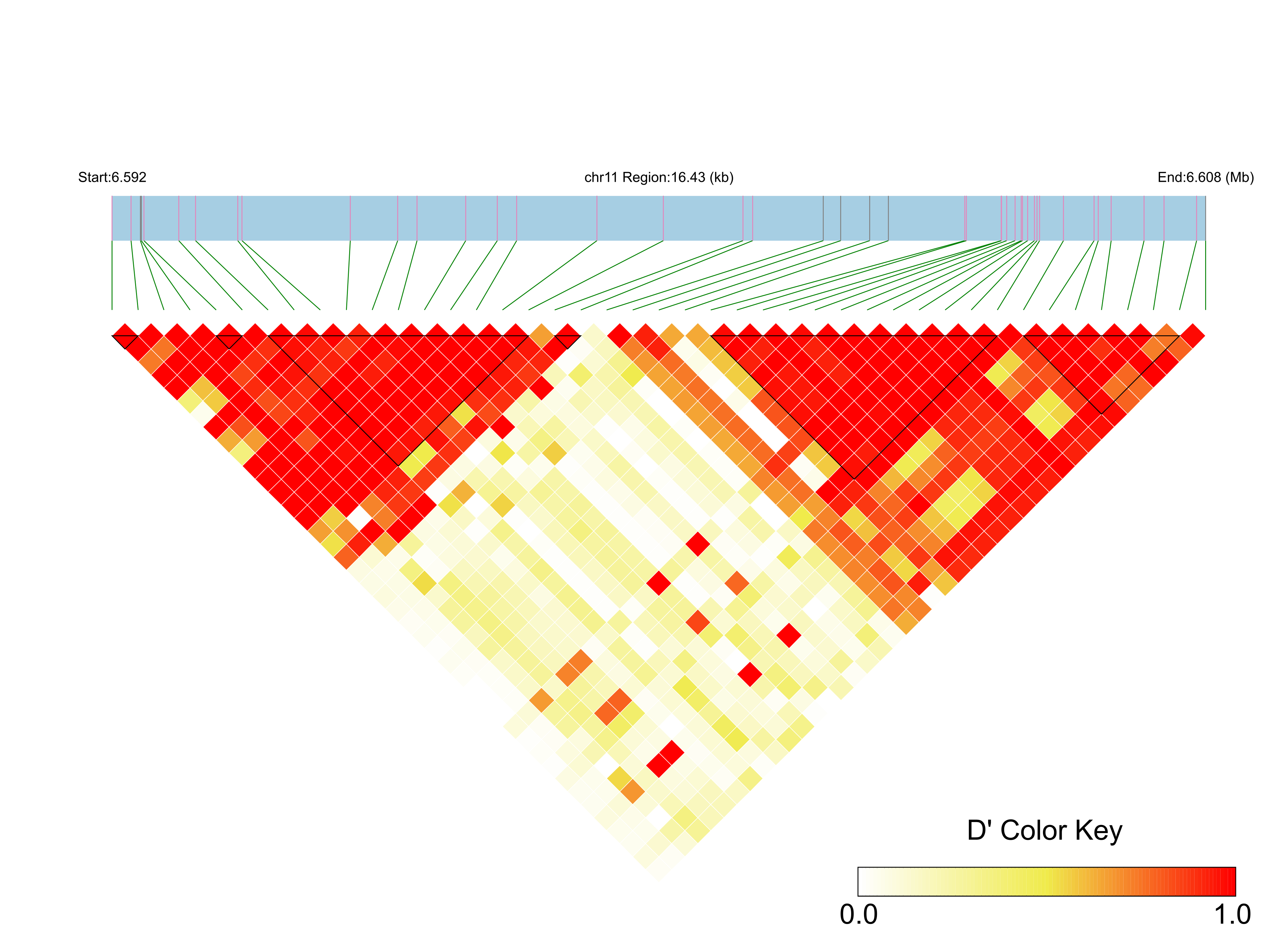LD