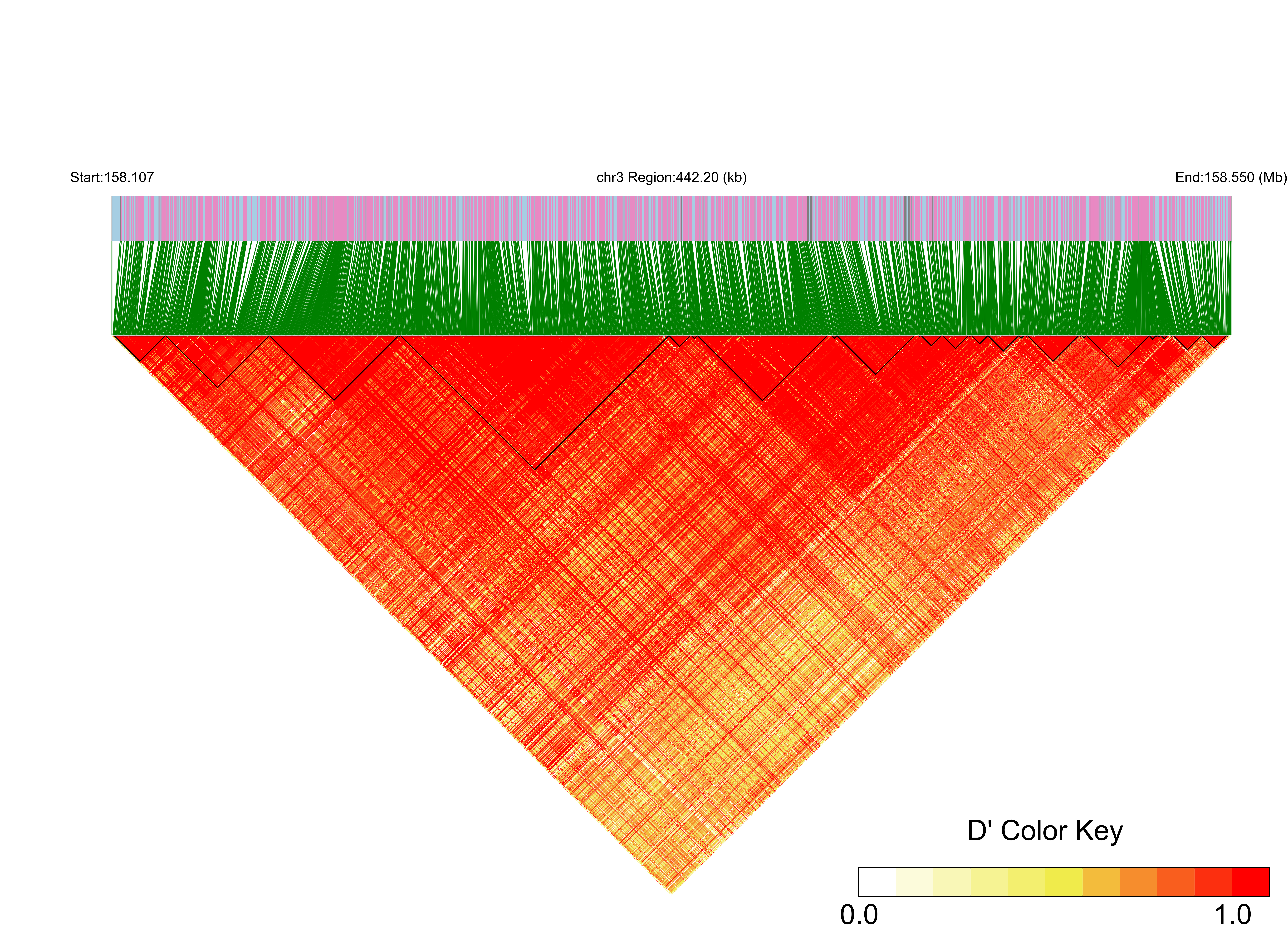 LD