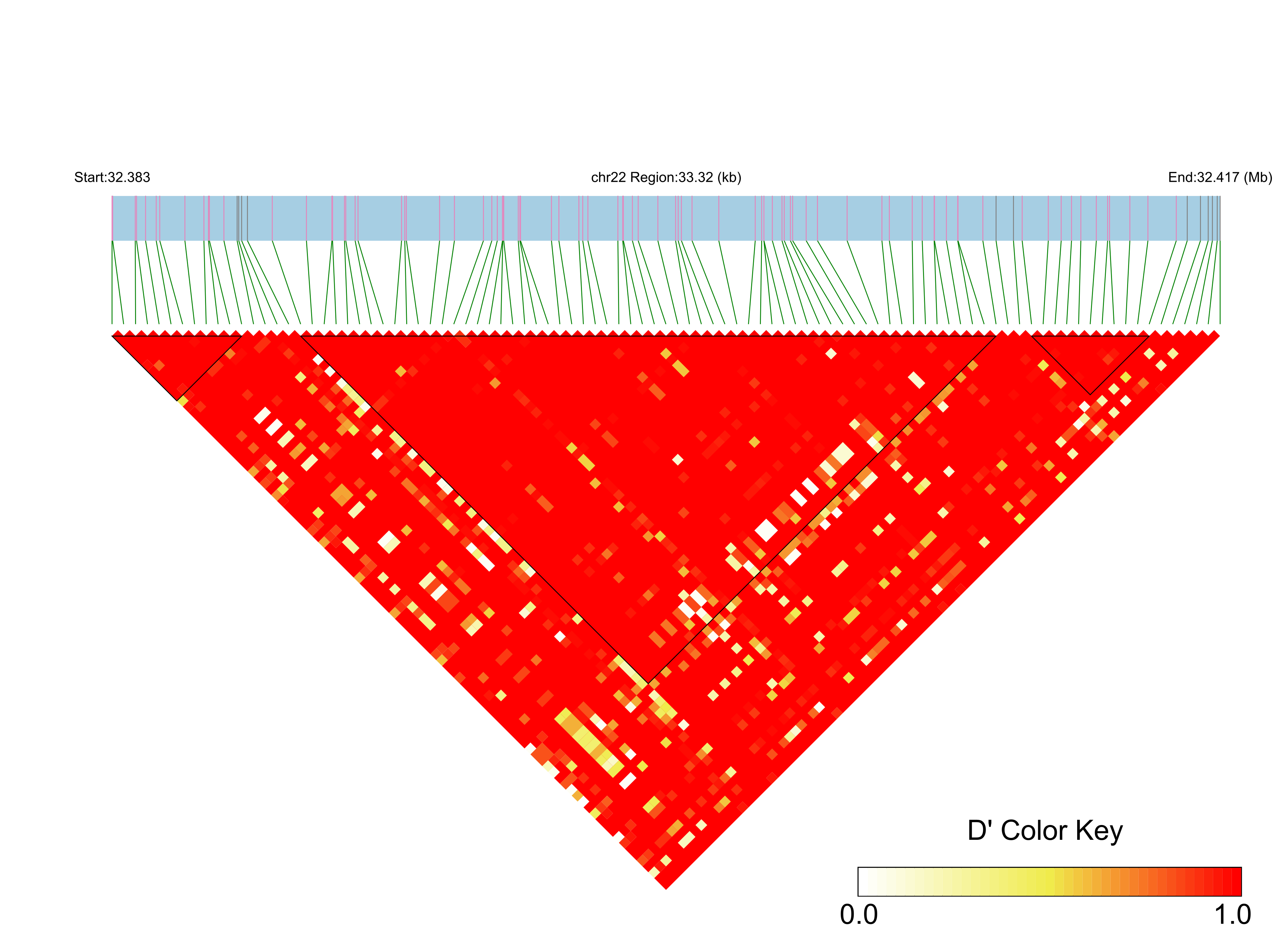 LD