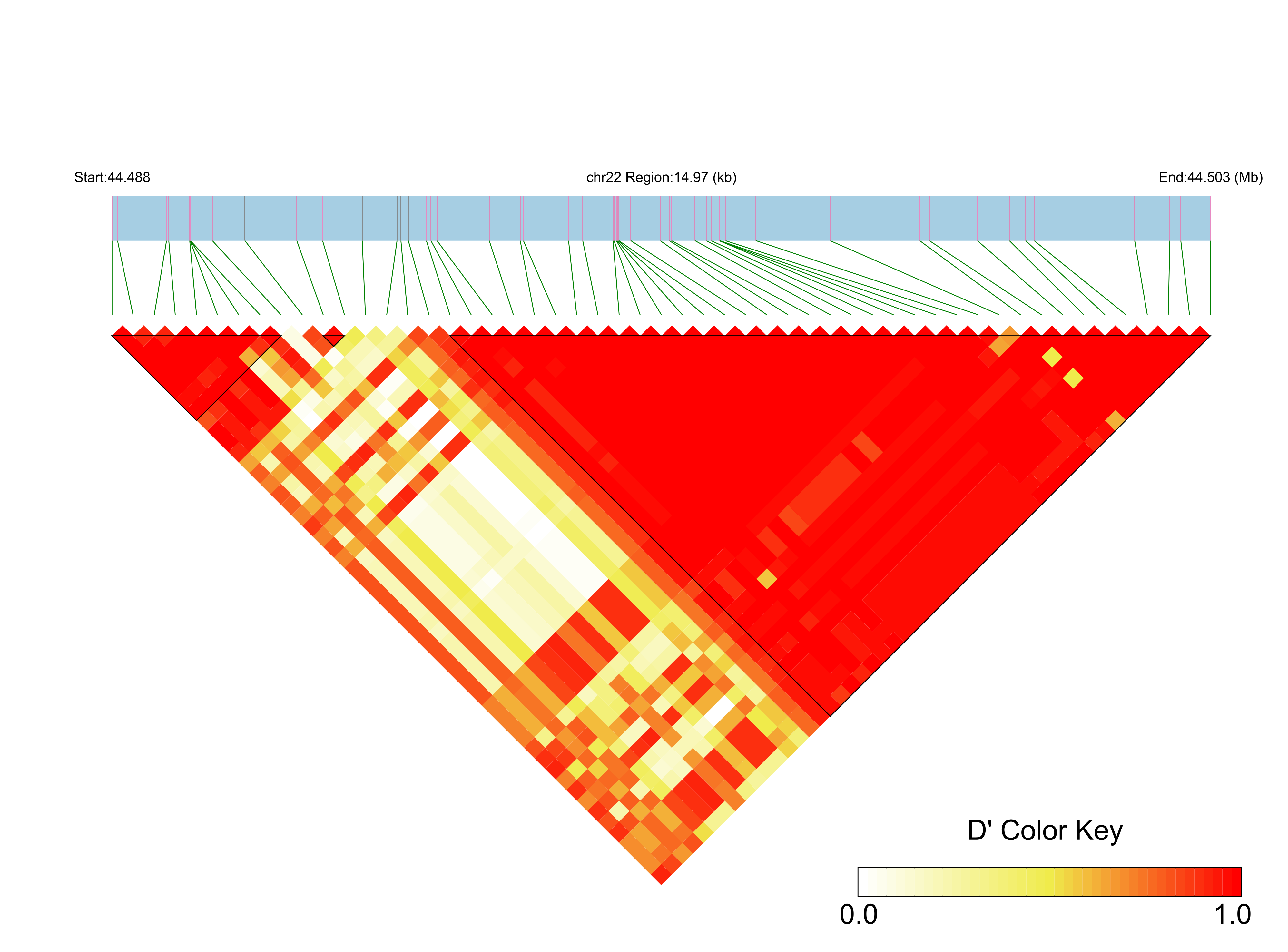 LD