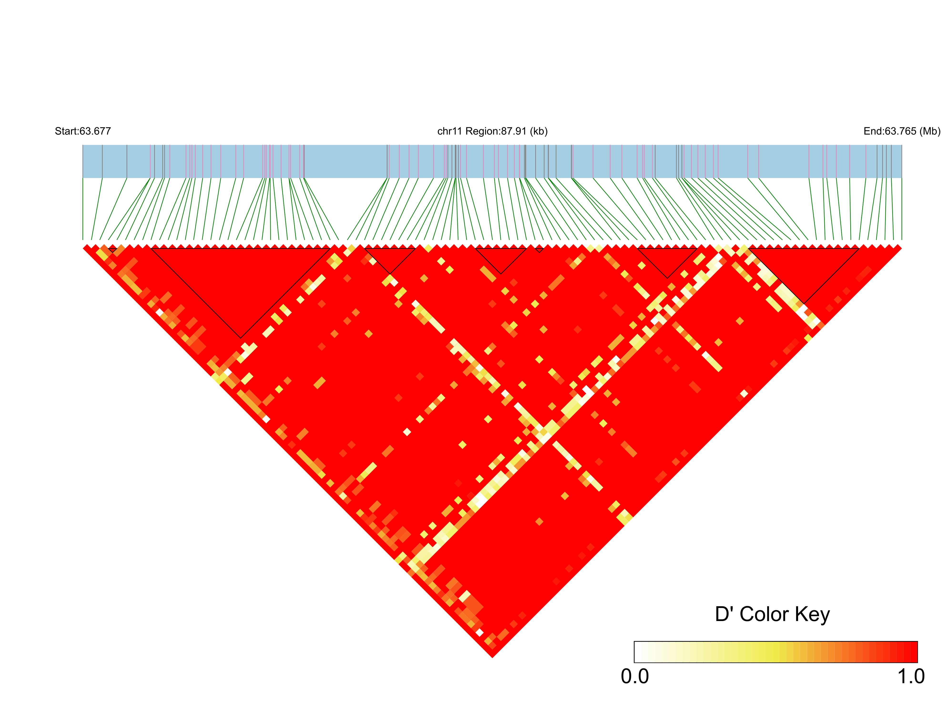 LD