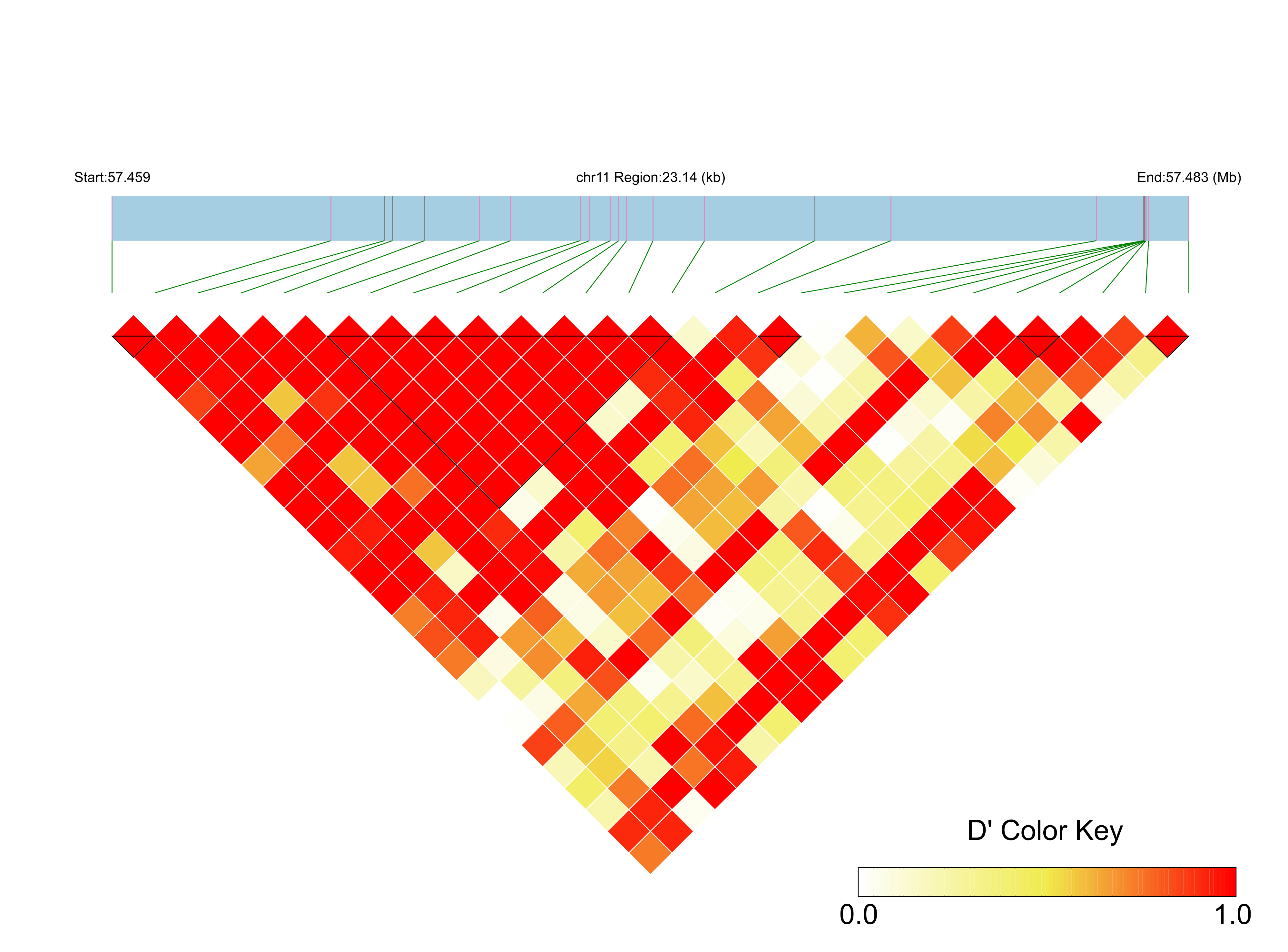 LD