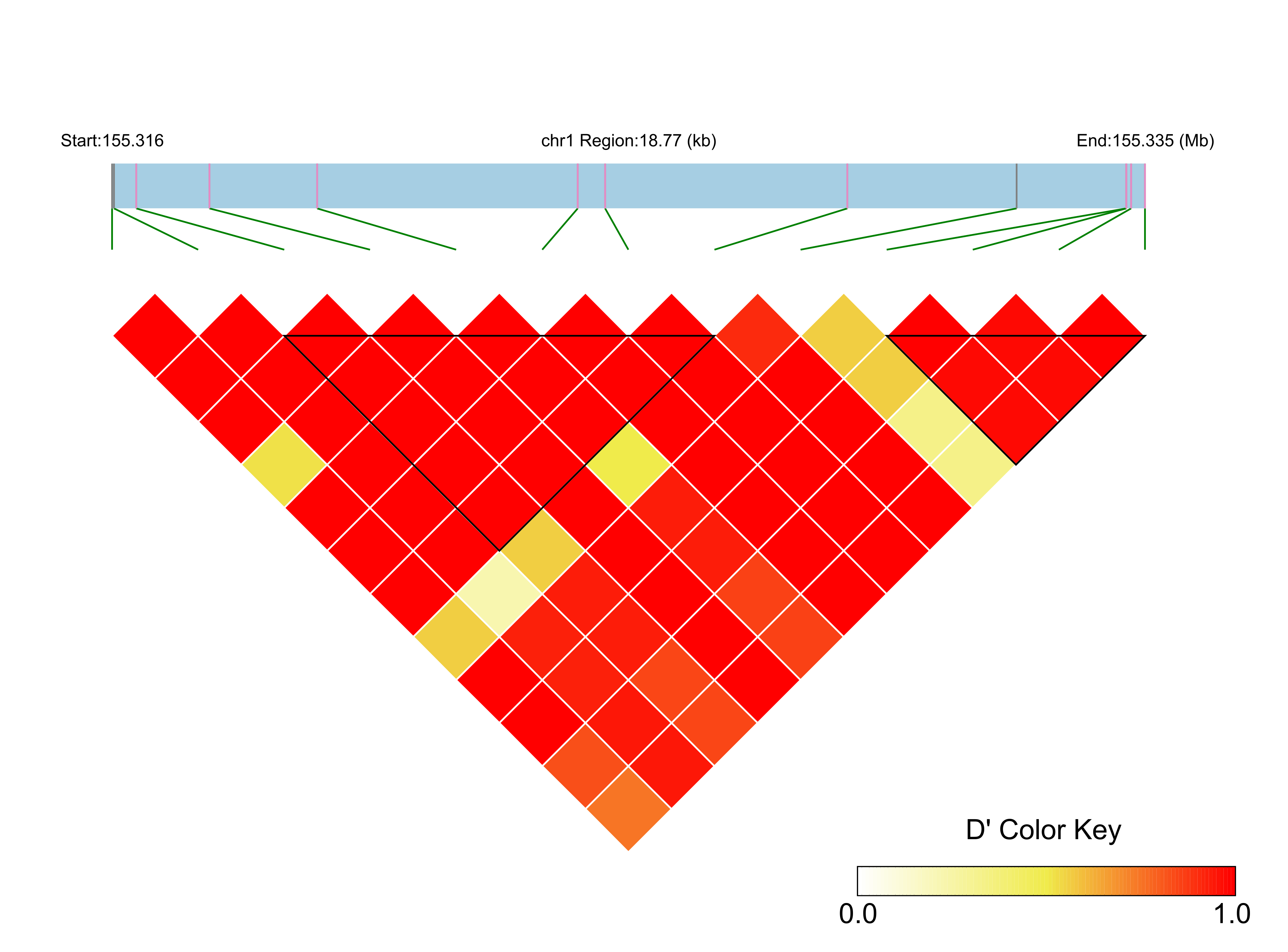 LD