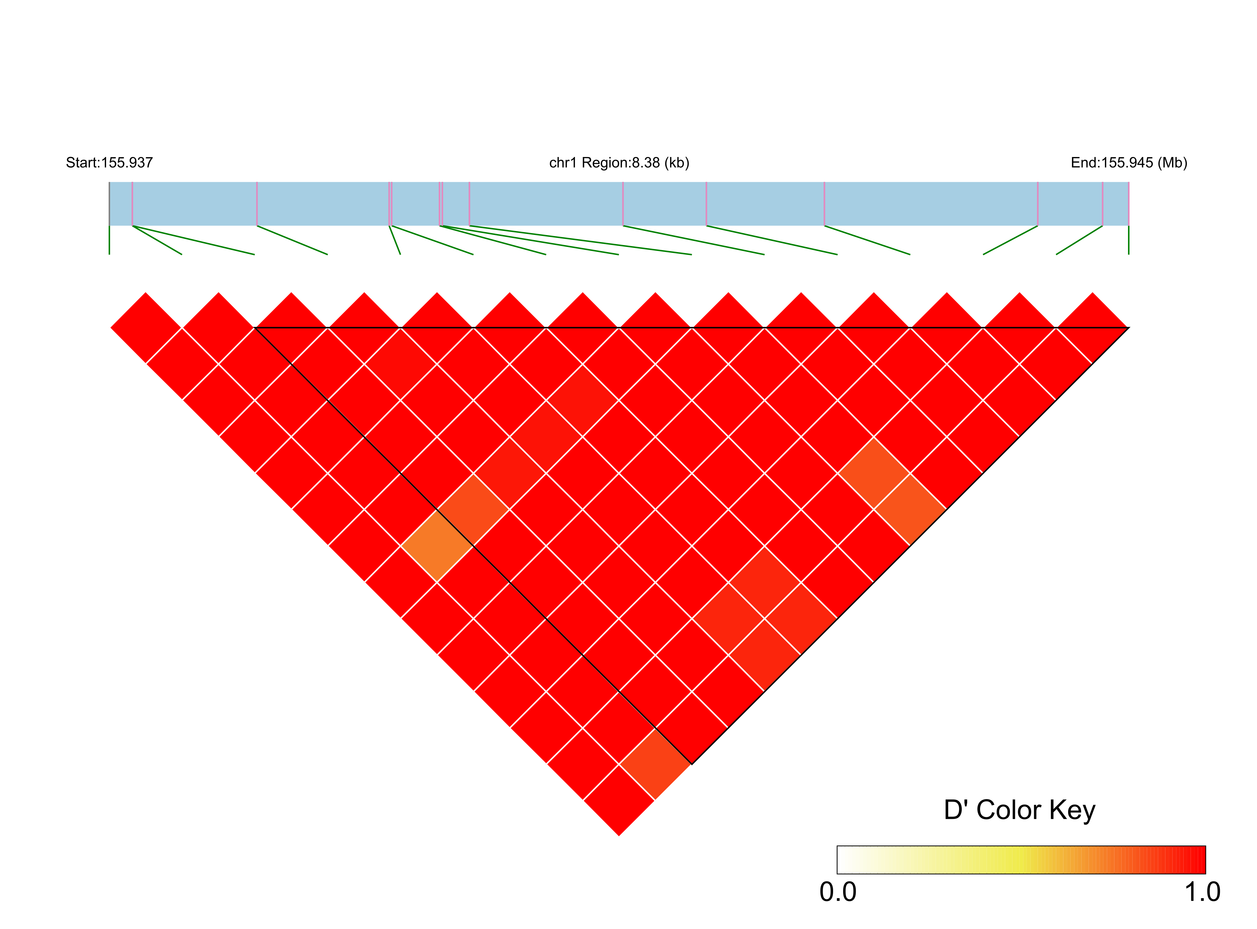 LD