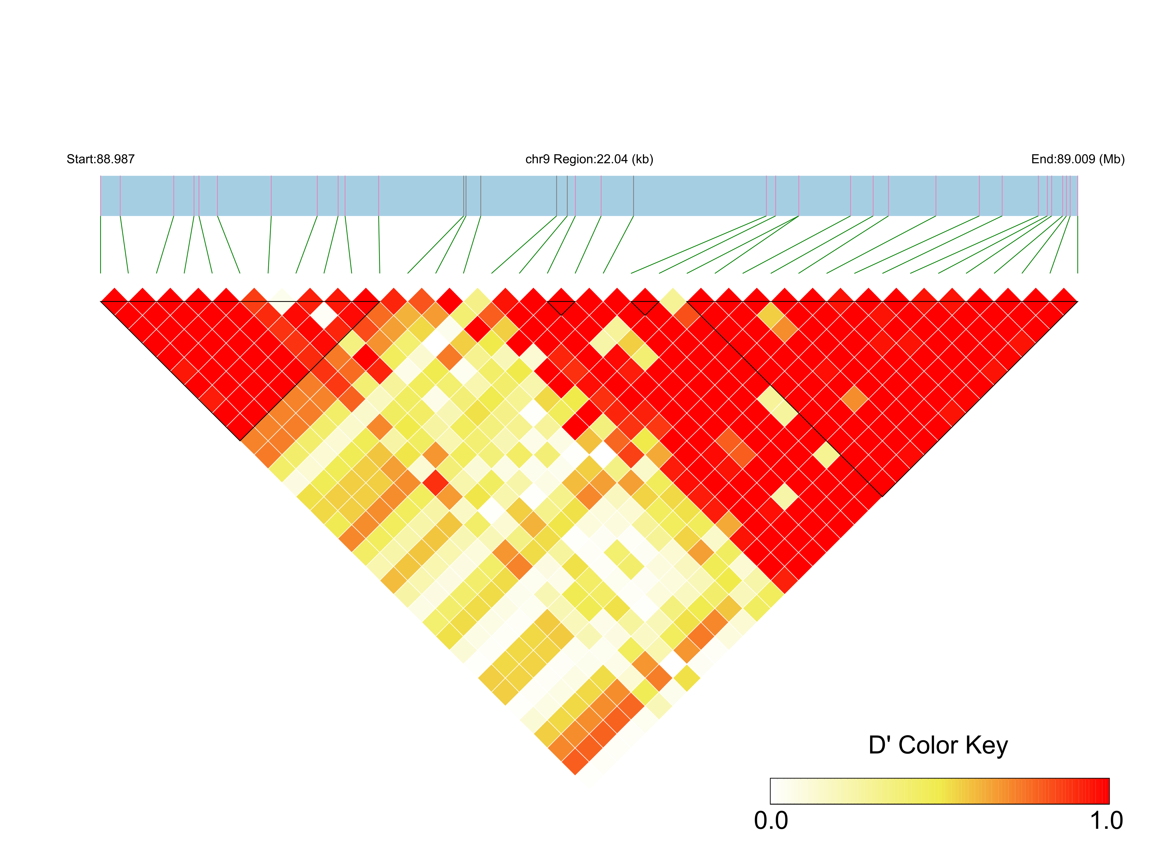LD